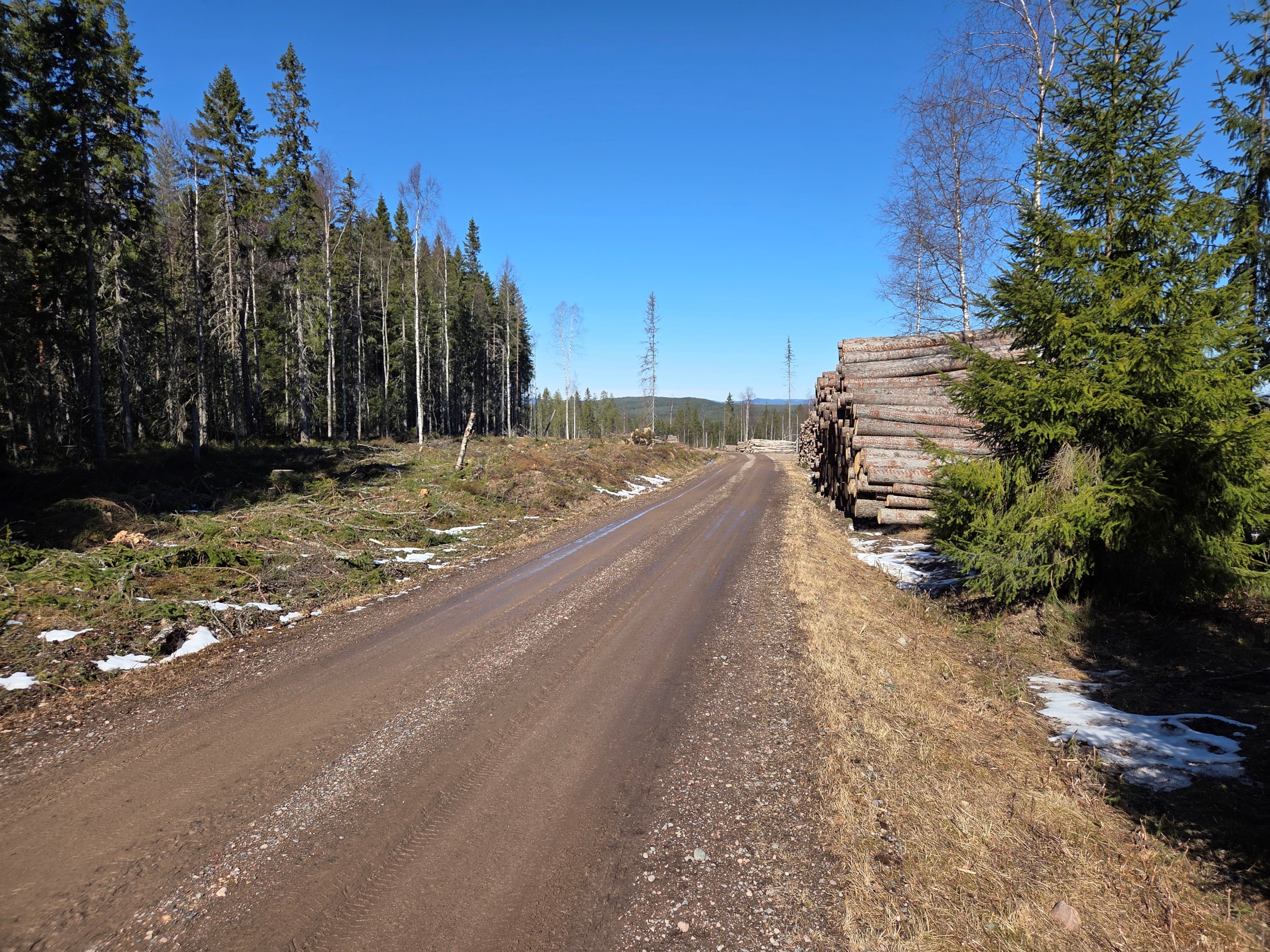 Avd 1 mot norr