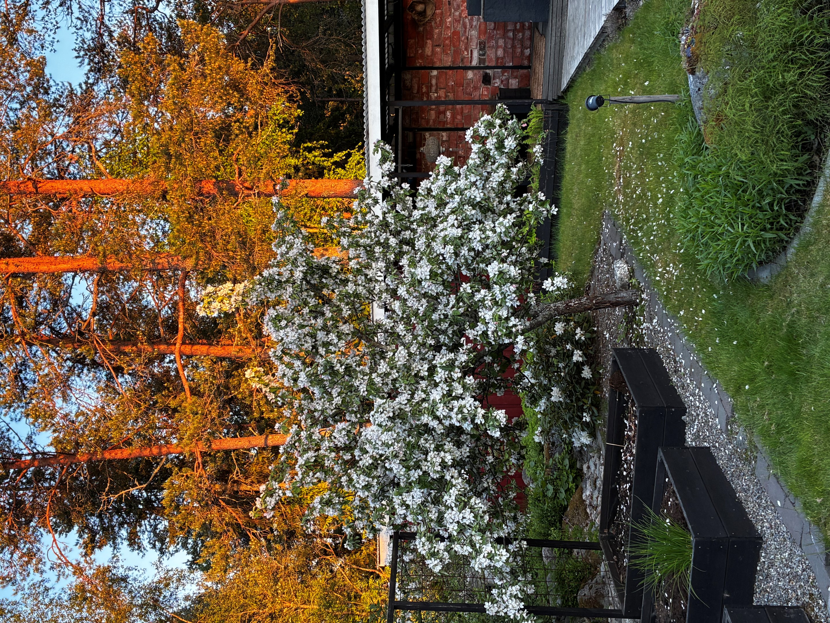 Säljarens bild