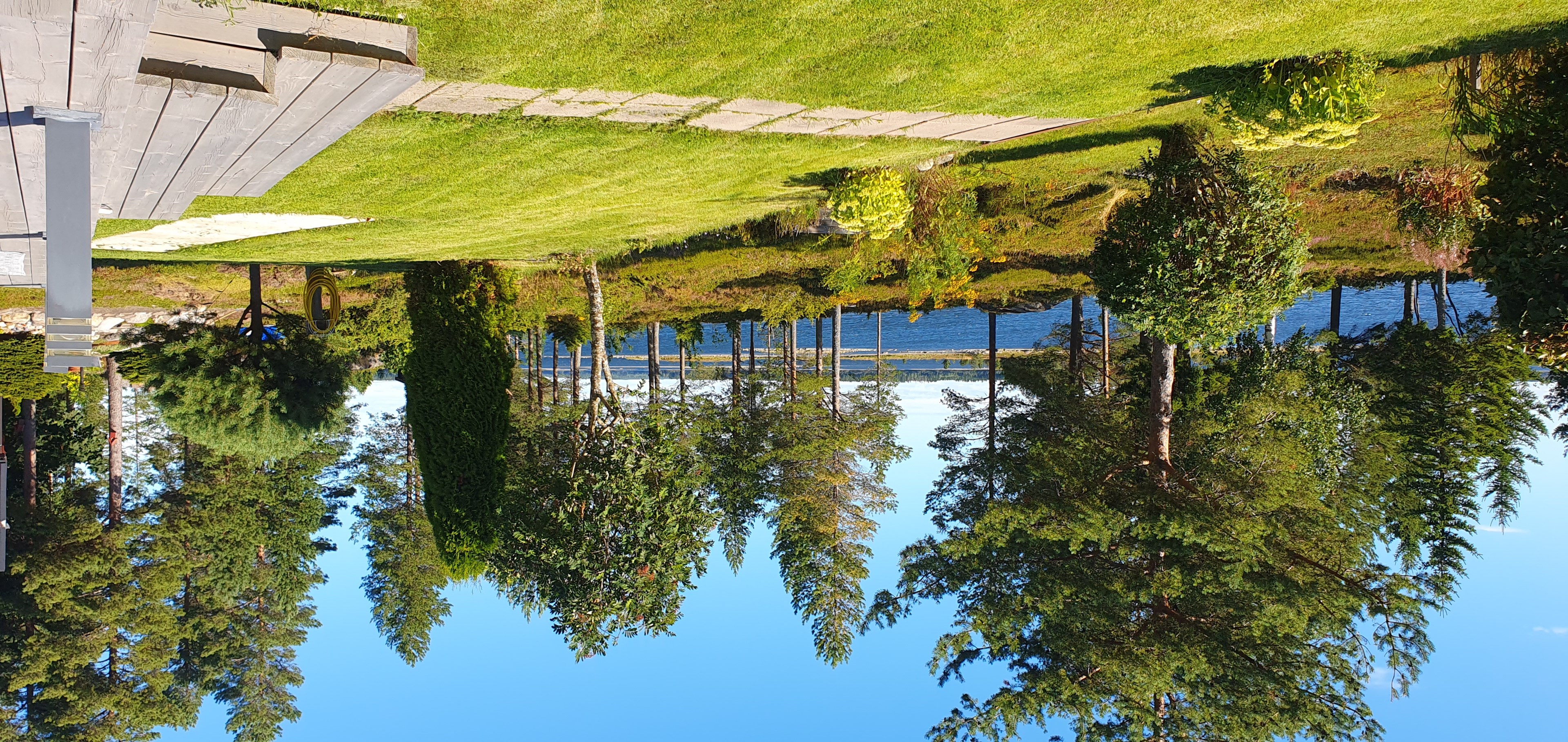 Säljarens egna bilder