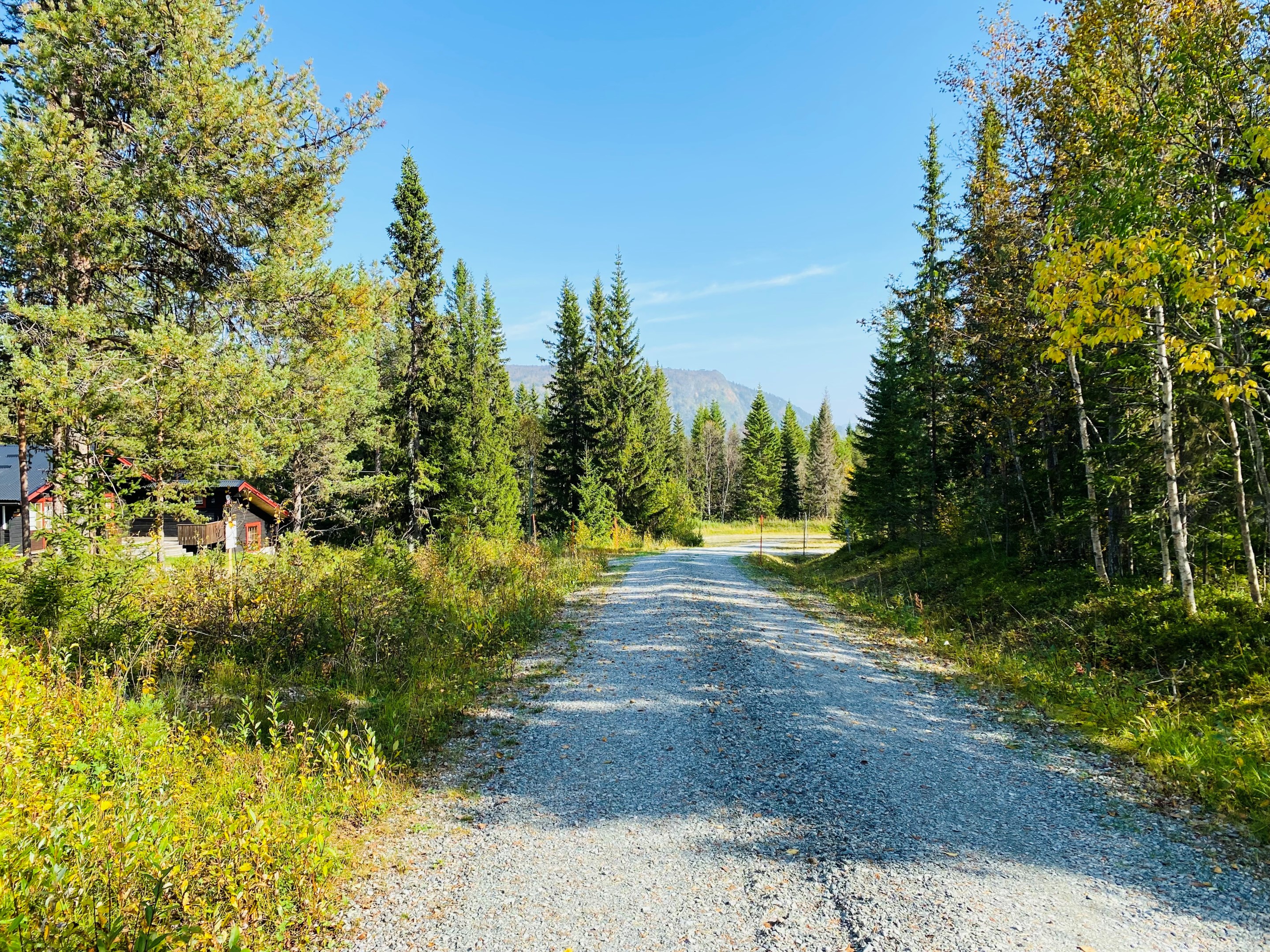Tomtmarken till vänster i bild