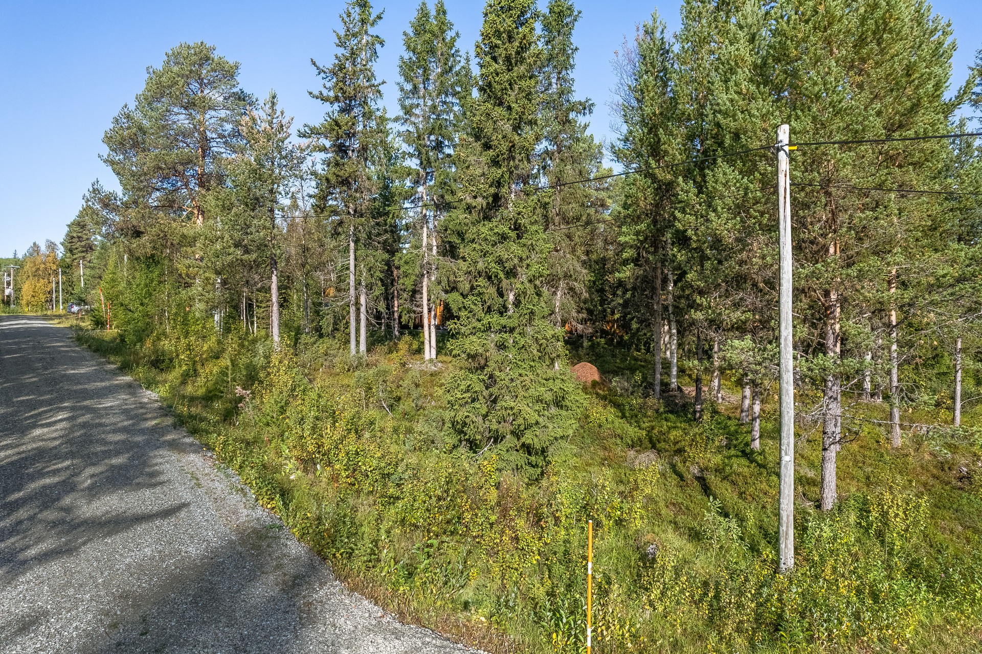 Tomtmarken rakt fram i bild