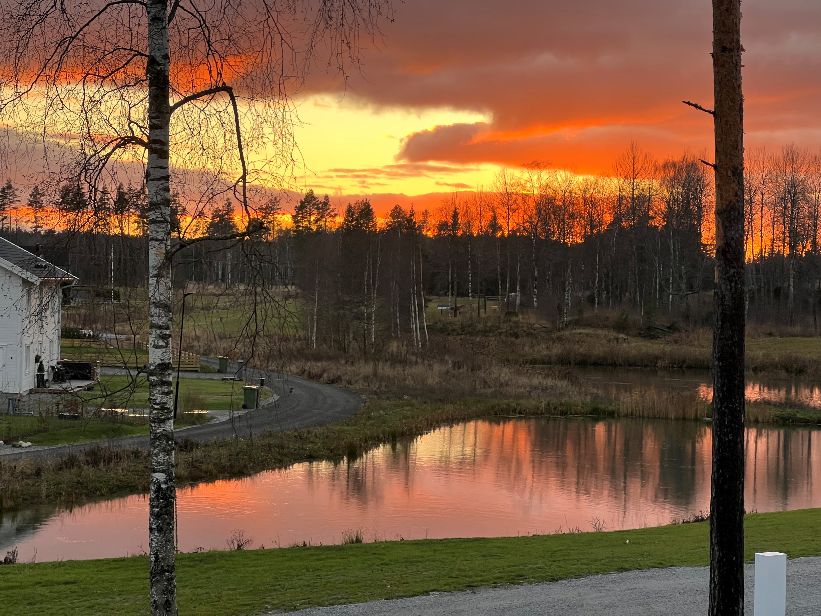 En av områdets anlagda dammar, rikligt med fågelliv finns att beskåda