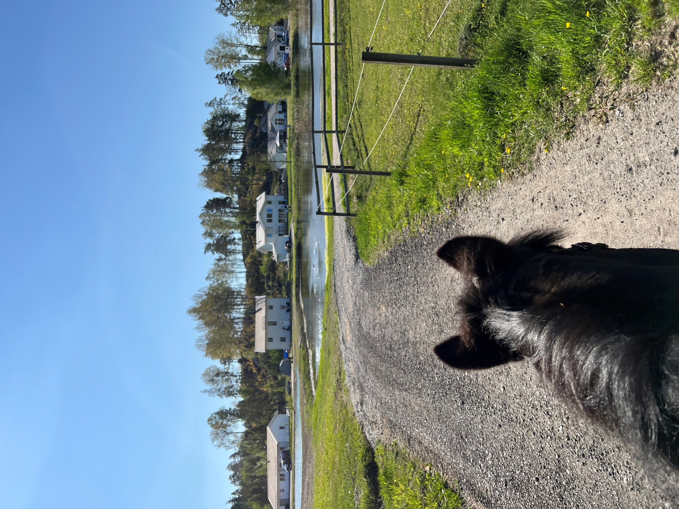 Trevliga rid och promenad vägar.