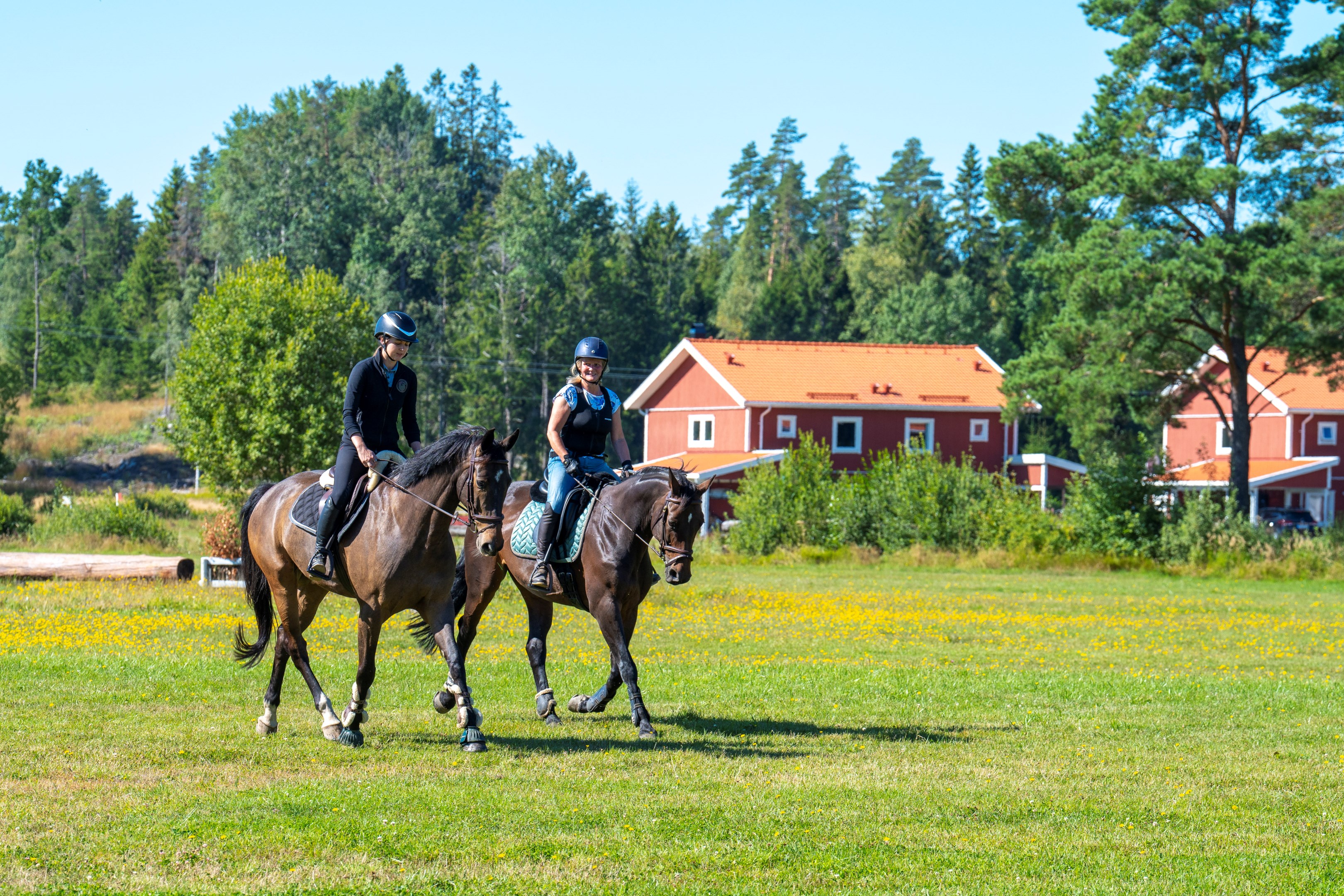 Vanligt att få beskåda Ryttarekipage på terrängbanan