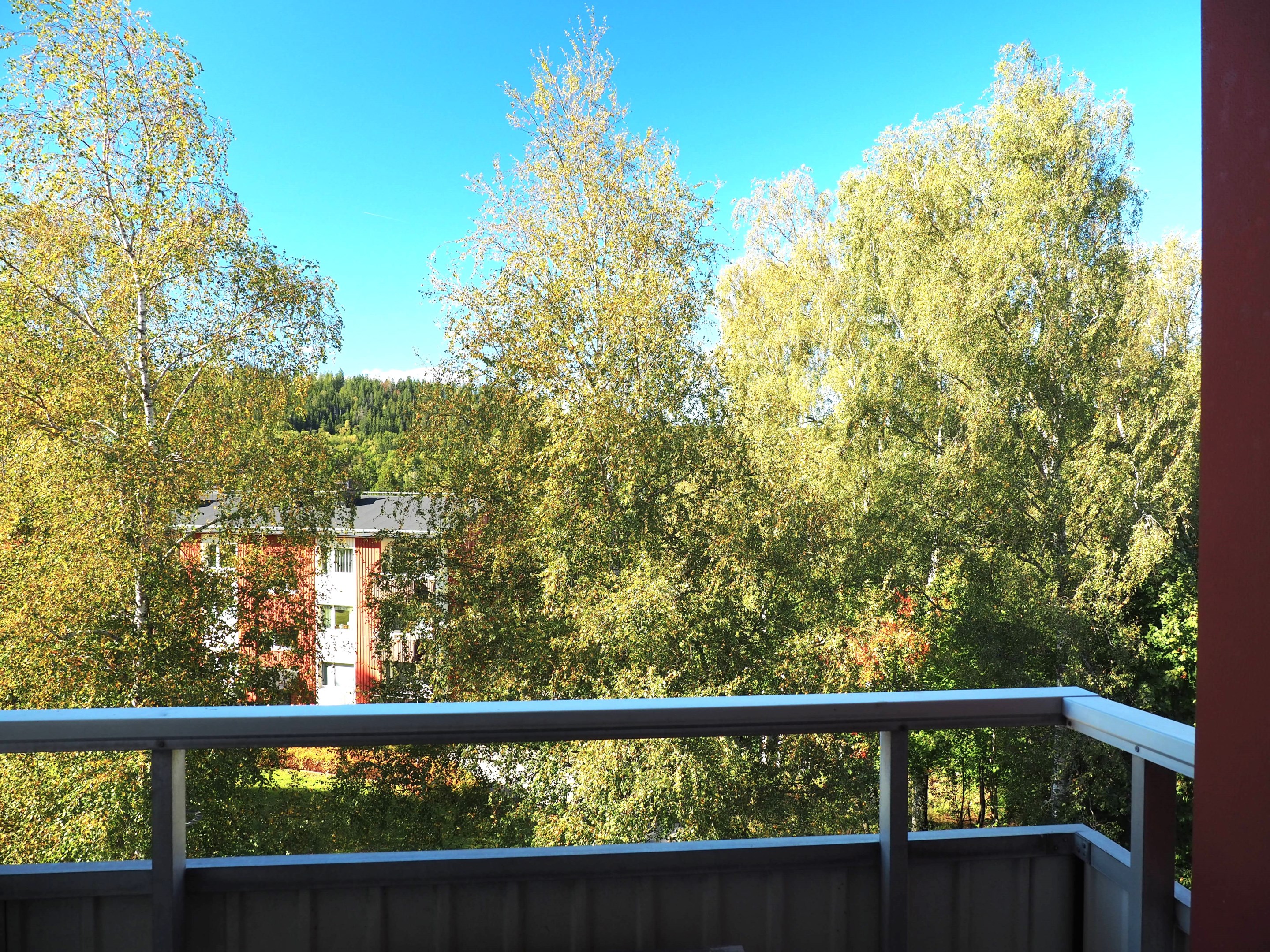 Utsikt från balkong