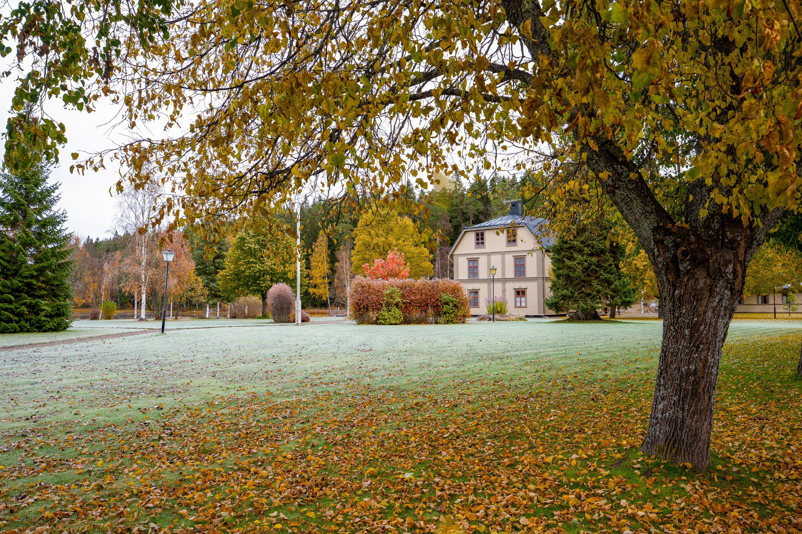 Hedvigsfors herrgård ligger i området