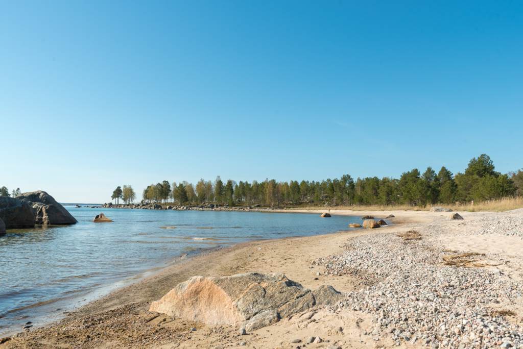 Lågupplöst Lågupplöst Snäcken