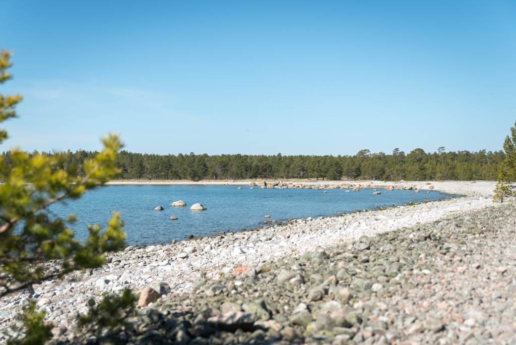 Lågupplöst Snäcken