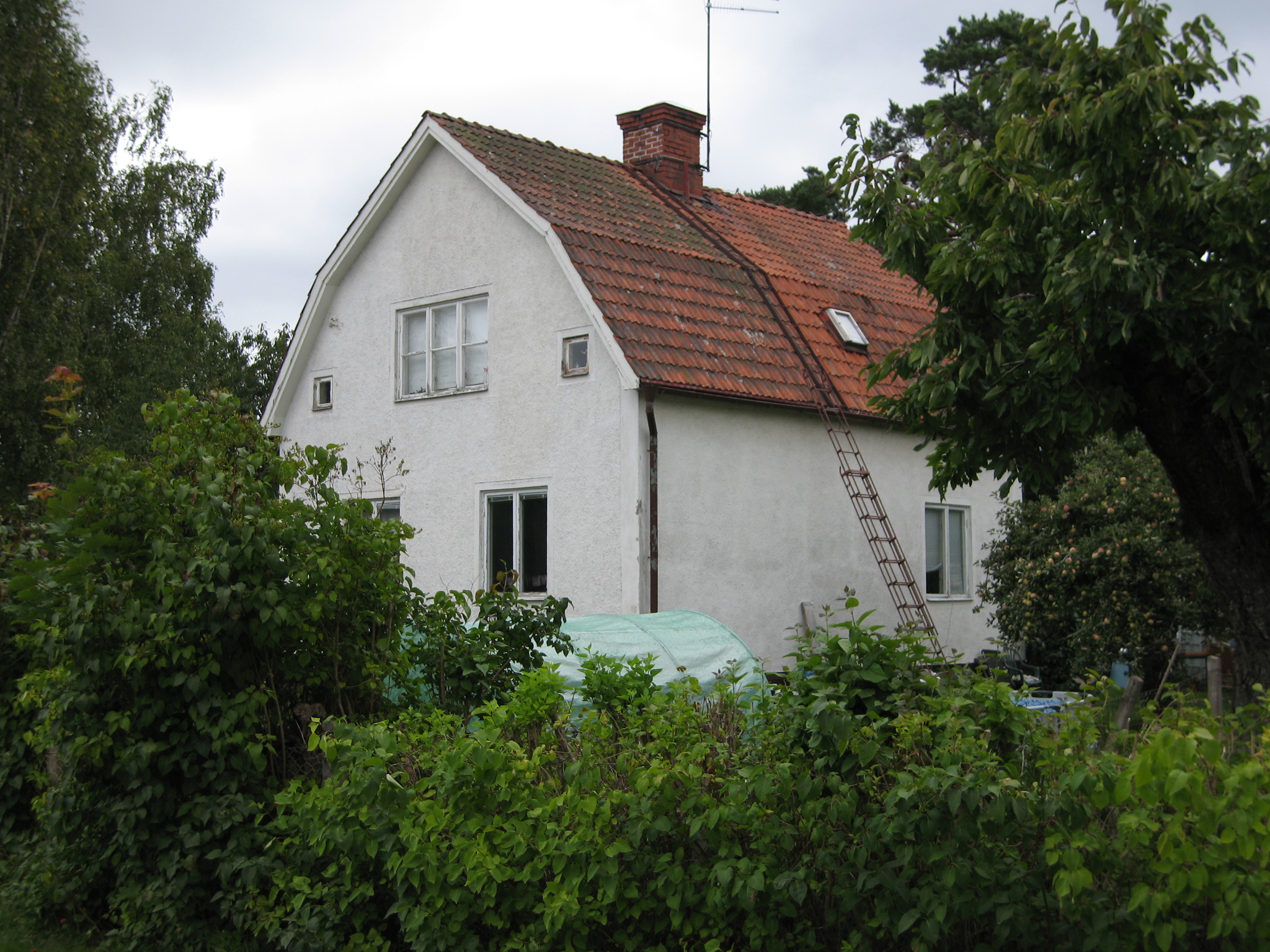 Huvudbild