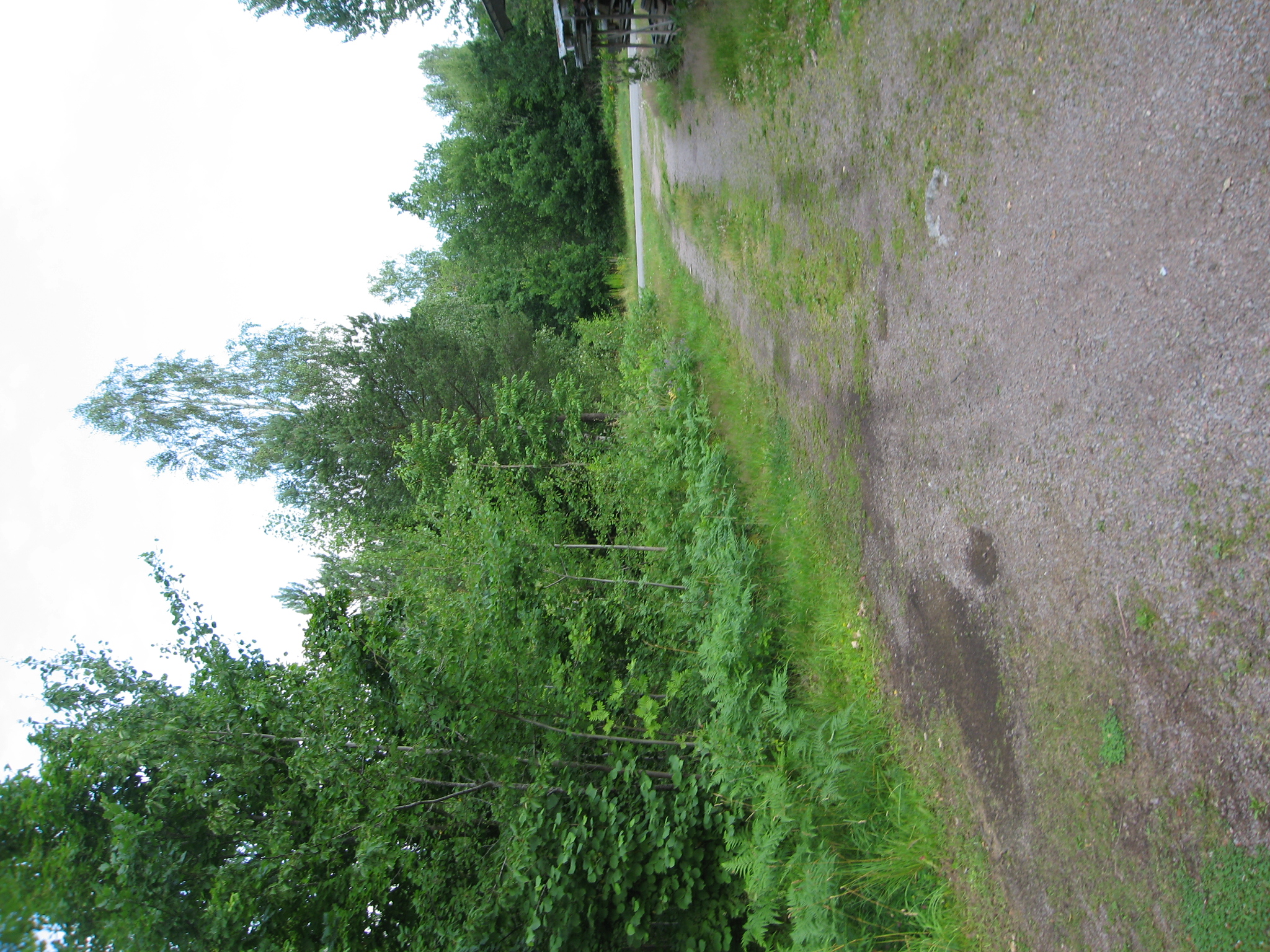 Alternativ inkörs väg