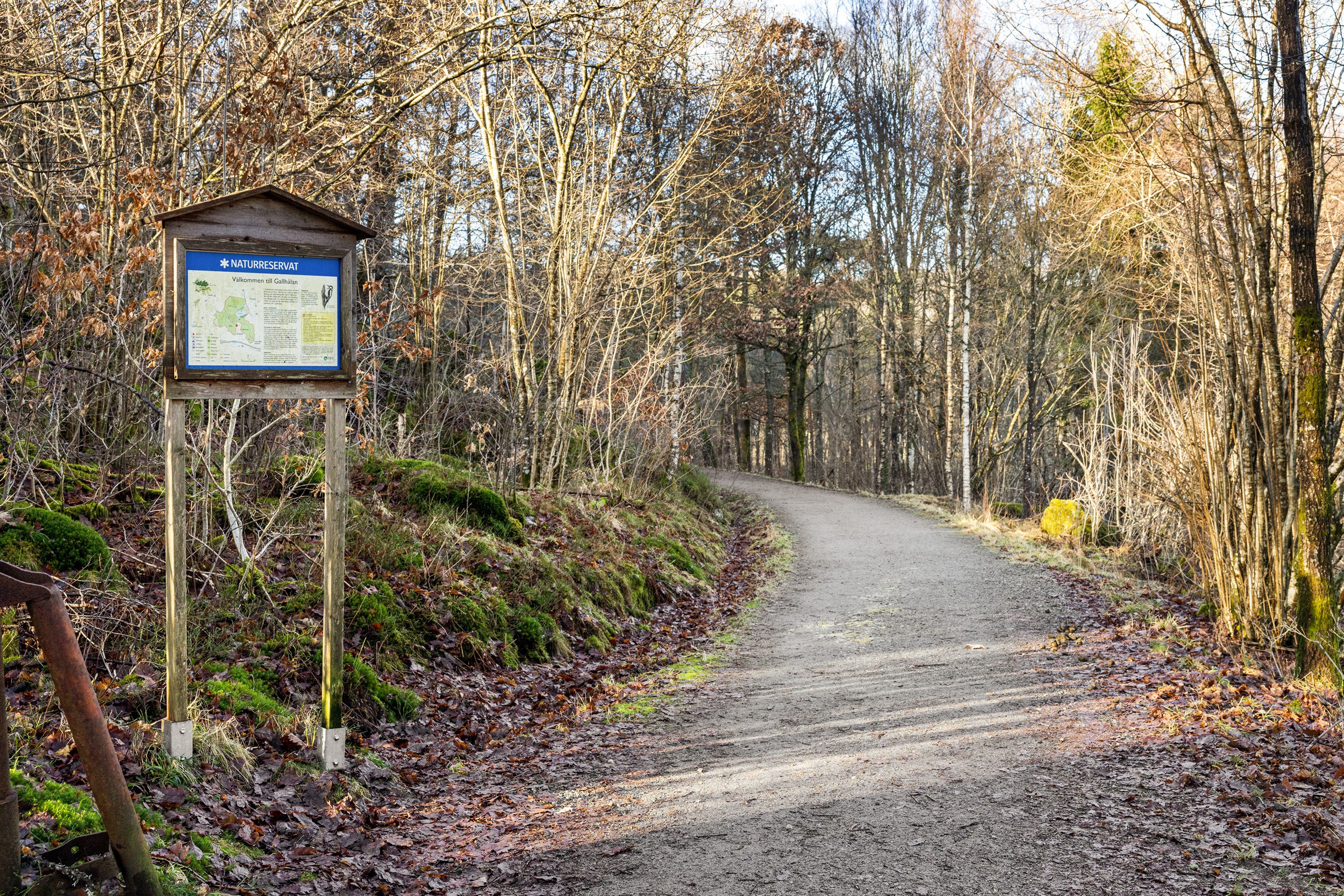 Gallhålans naturreservat