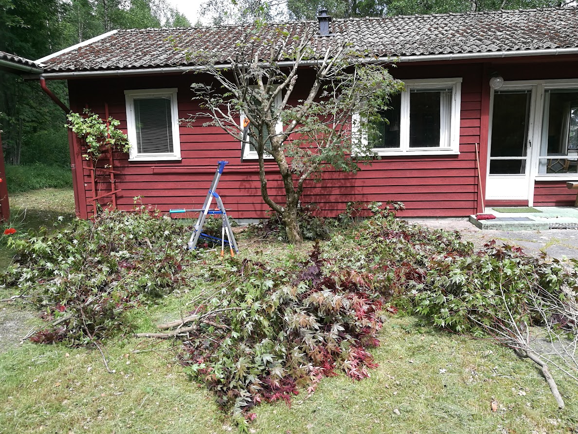 Hus fra terassen
