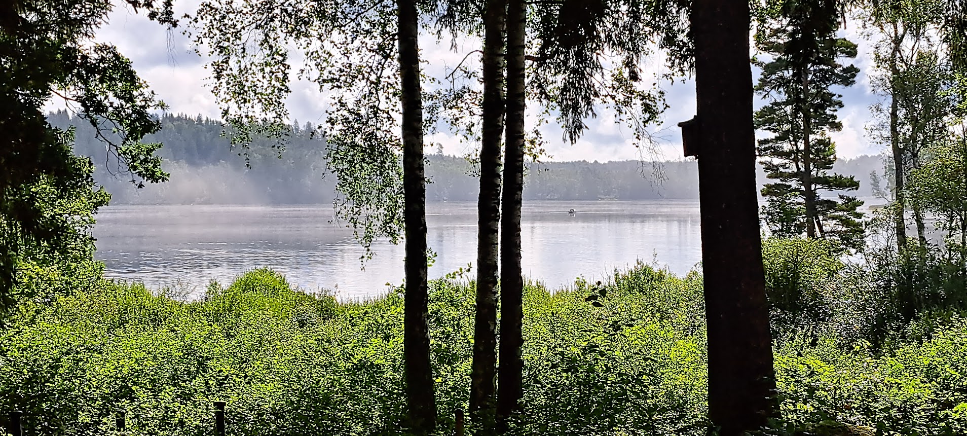 Udsigt over søen fra stuen