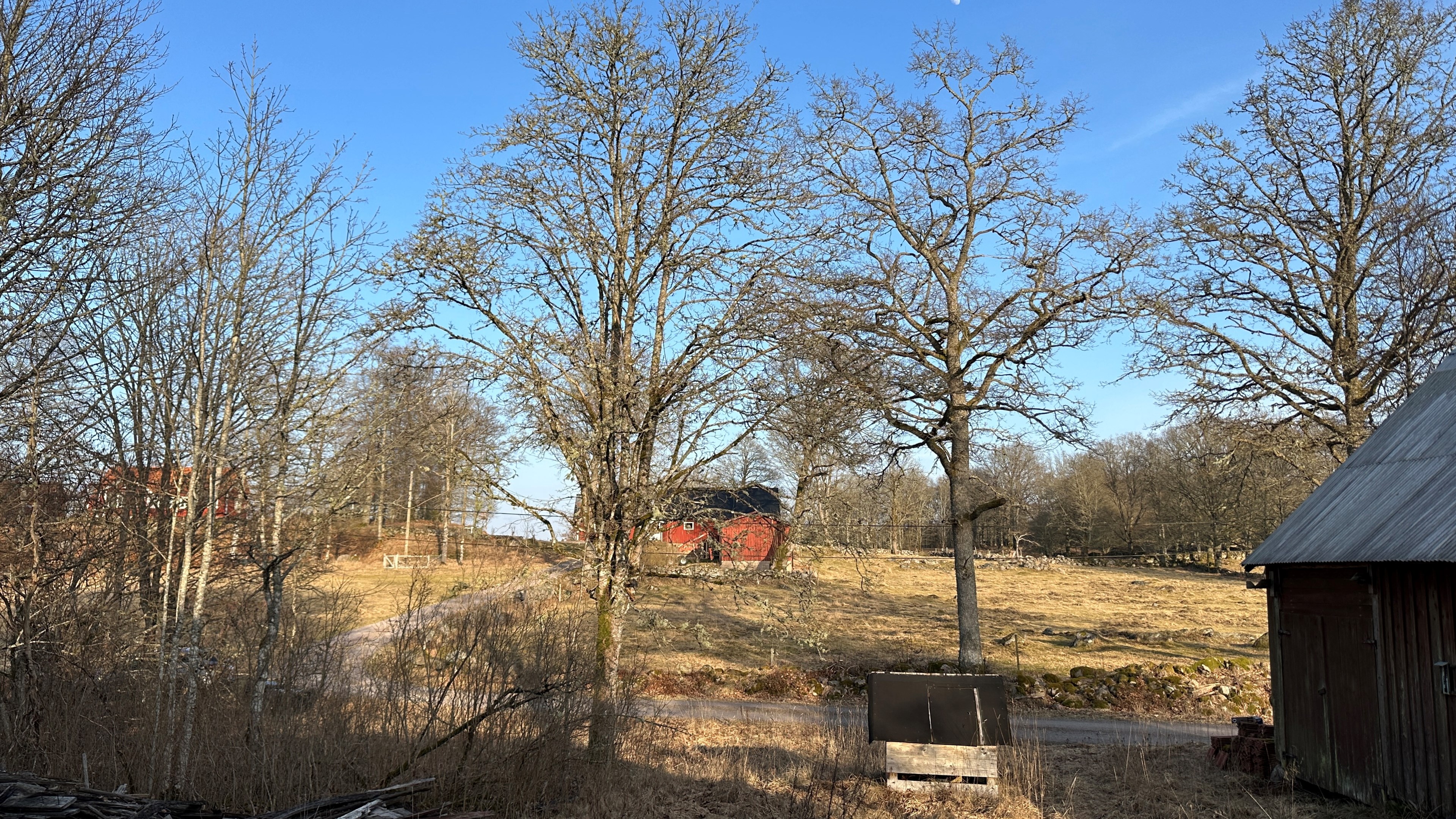 Bild 3 från Dansk Ejendoms Consult