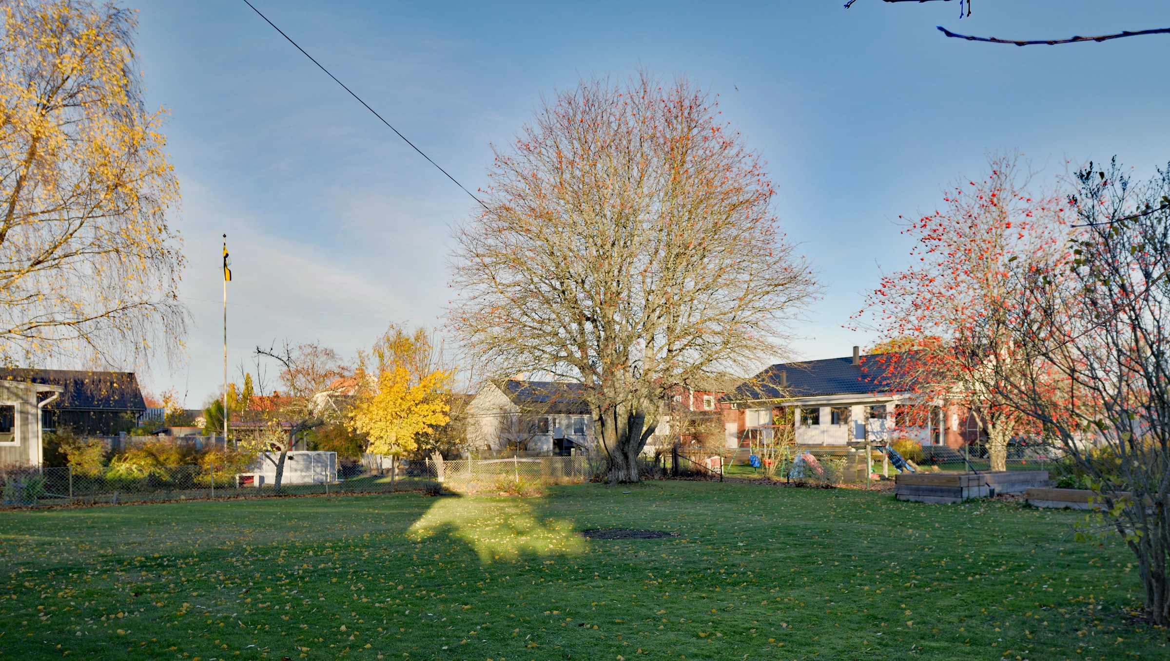 Baksida