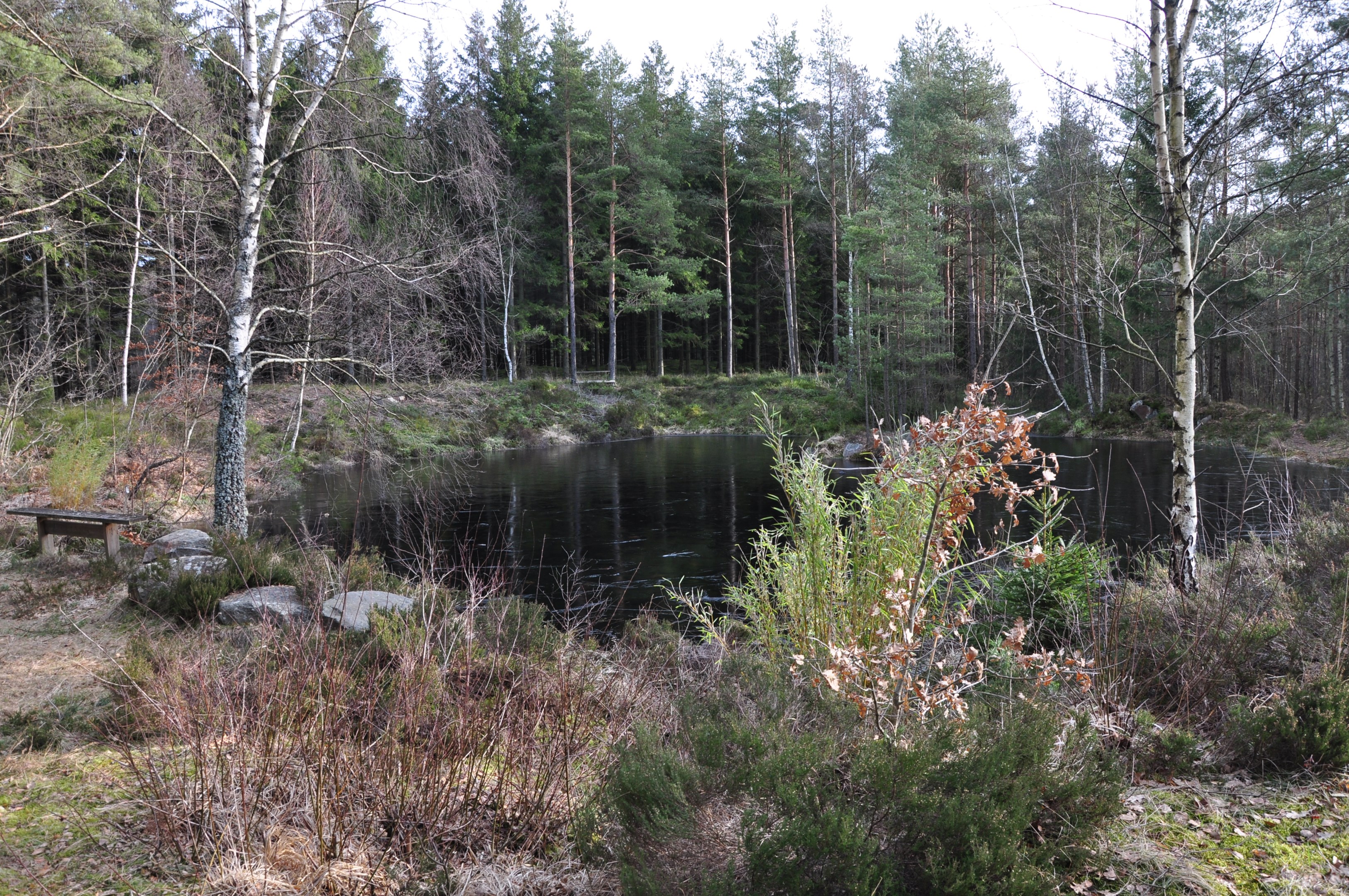 Naturområde med grillplats inom 200m