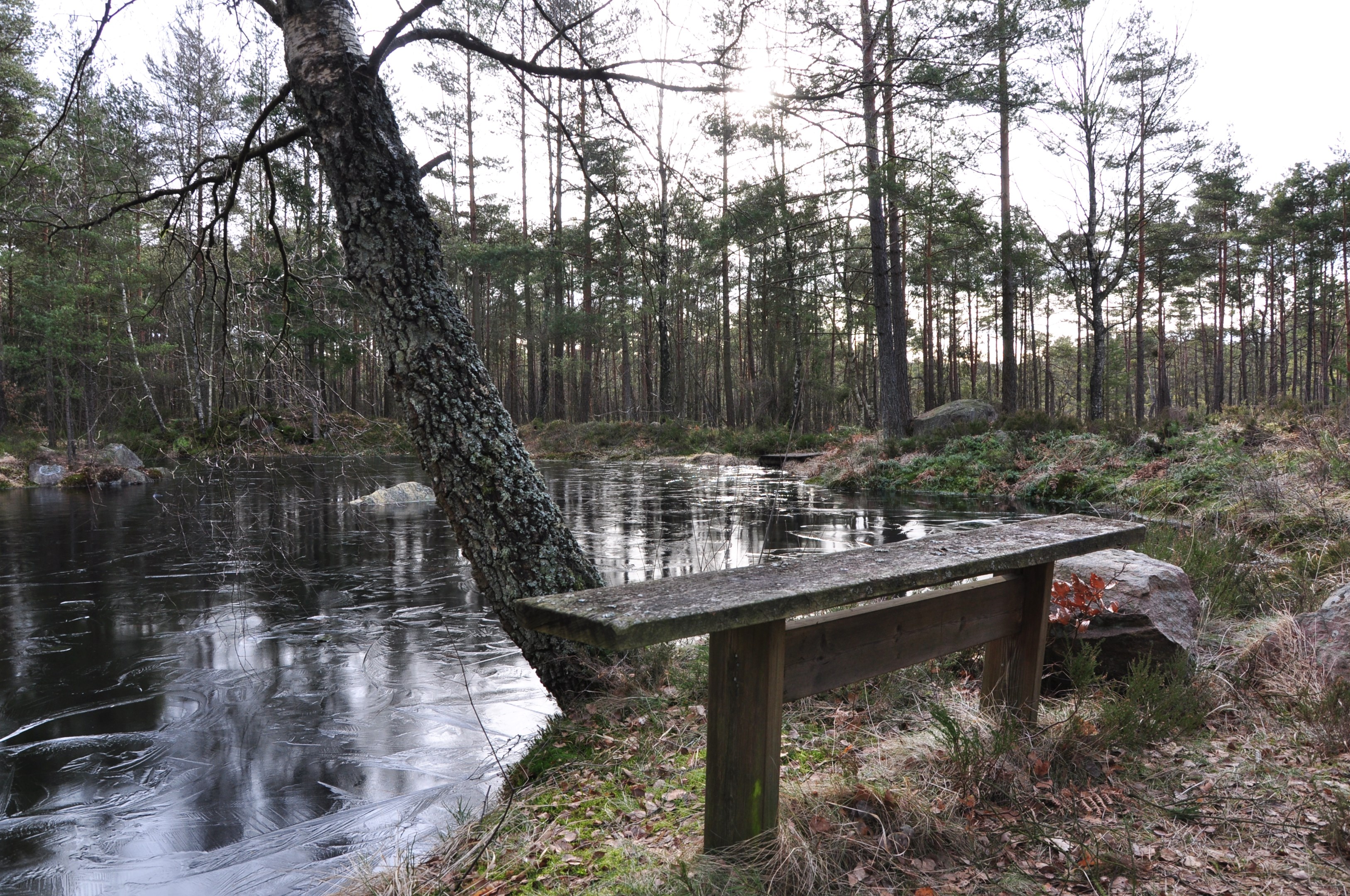 Närhet till naturområde inom 200m