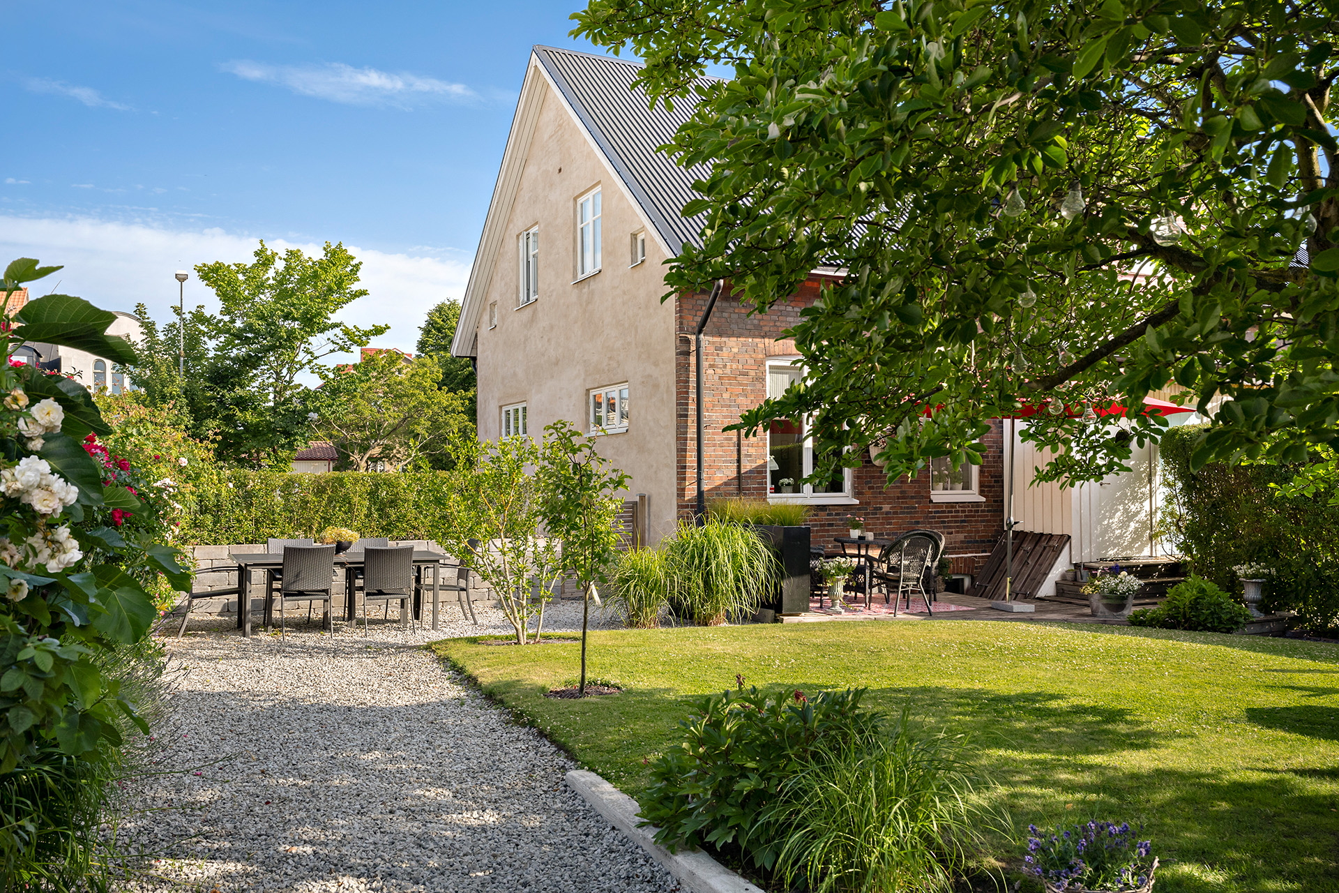 Härlig trädgård med vackert magnoliaträd