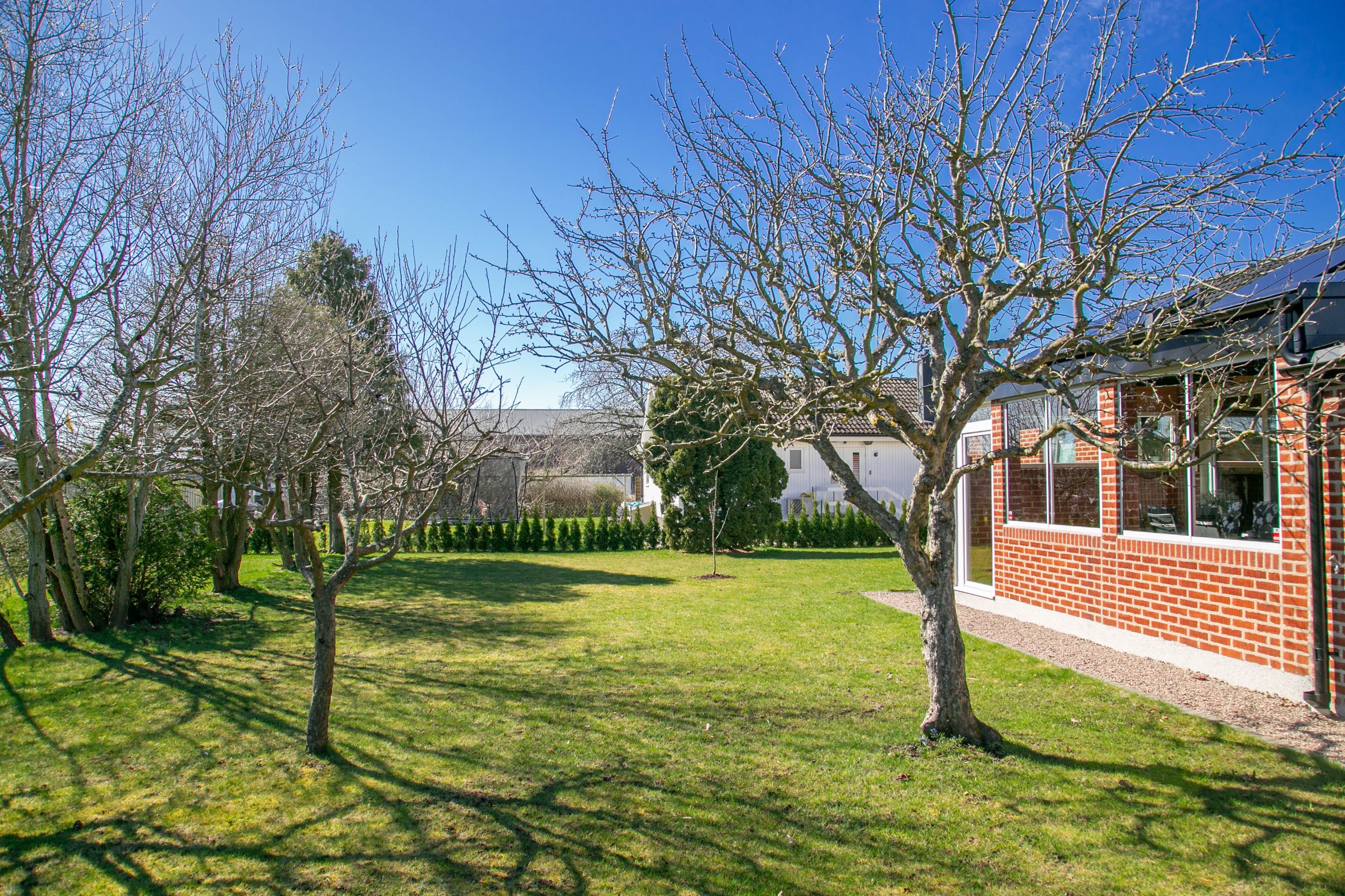 Uterum och fruktträd