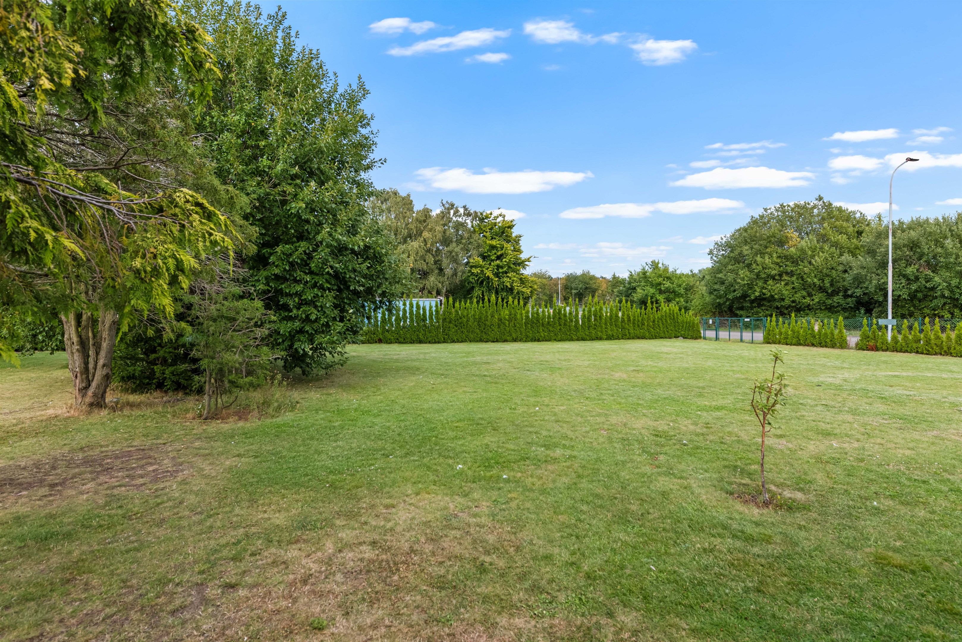 Stor härlig trädgård