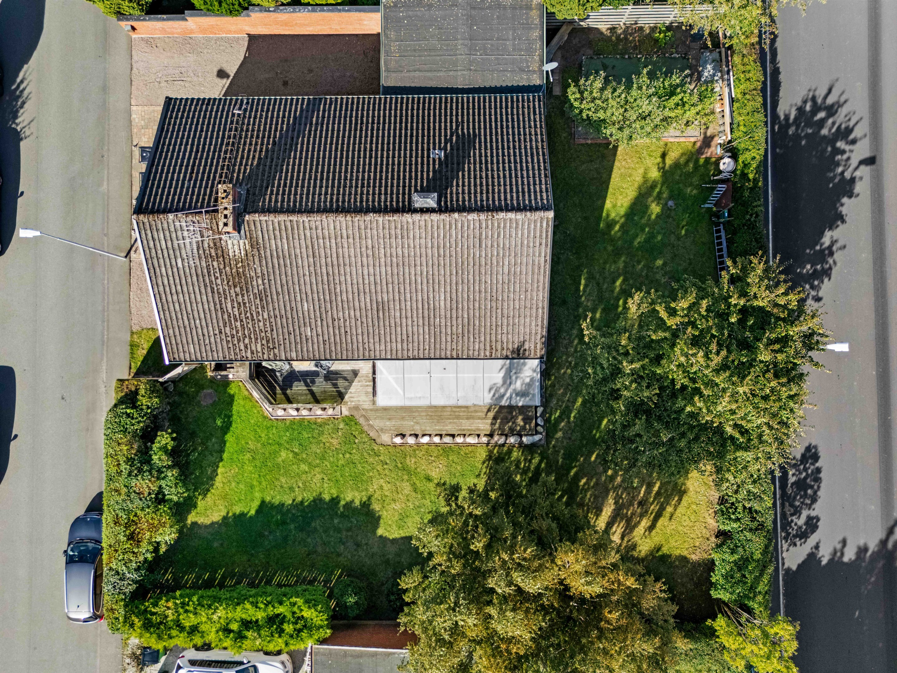 Härlig uppväxt tomt