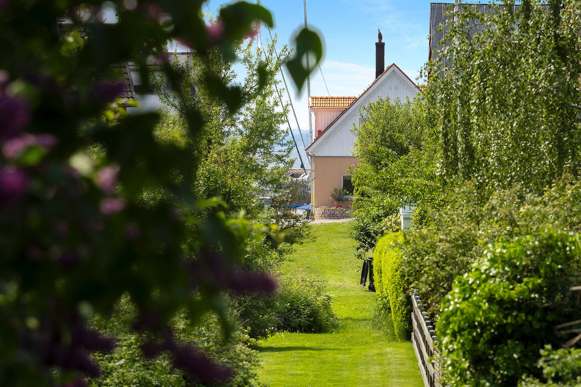 Gång till havet ca 300 m mellan husen