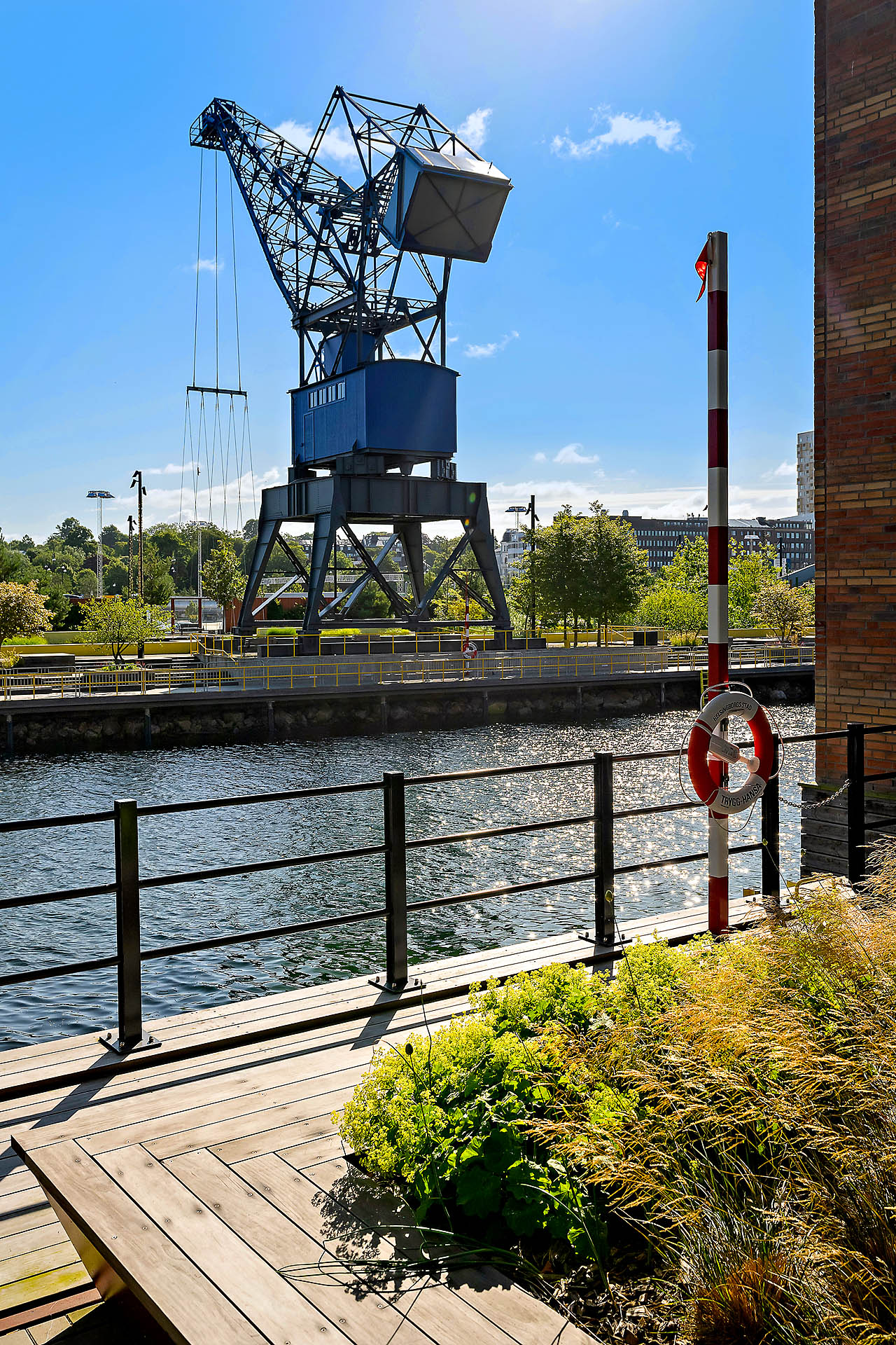 Vacker miljö runt omkring