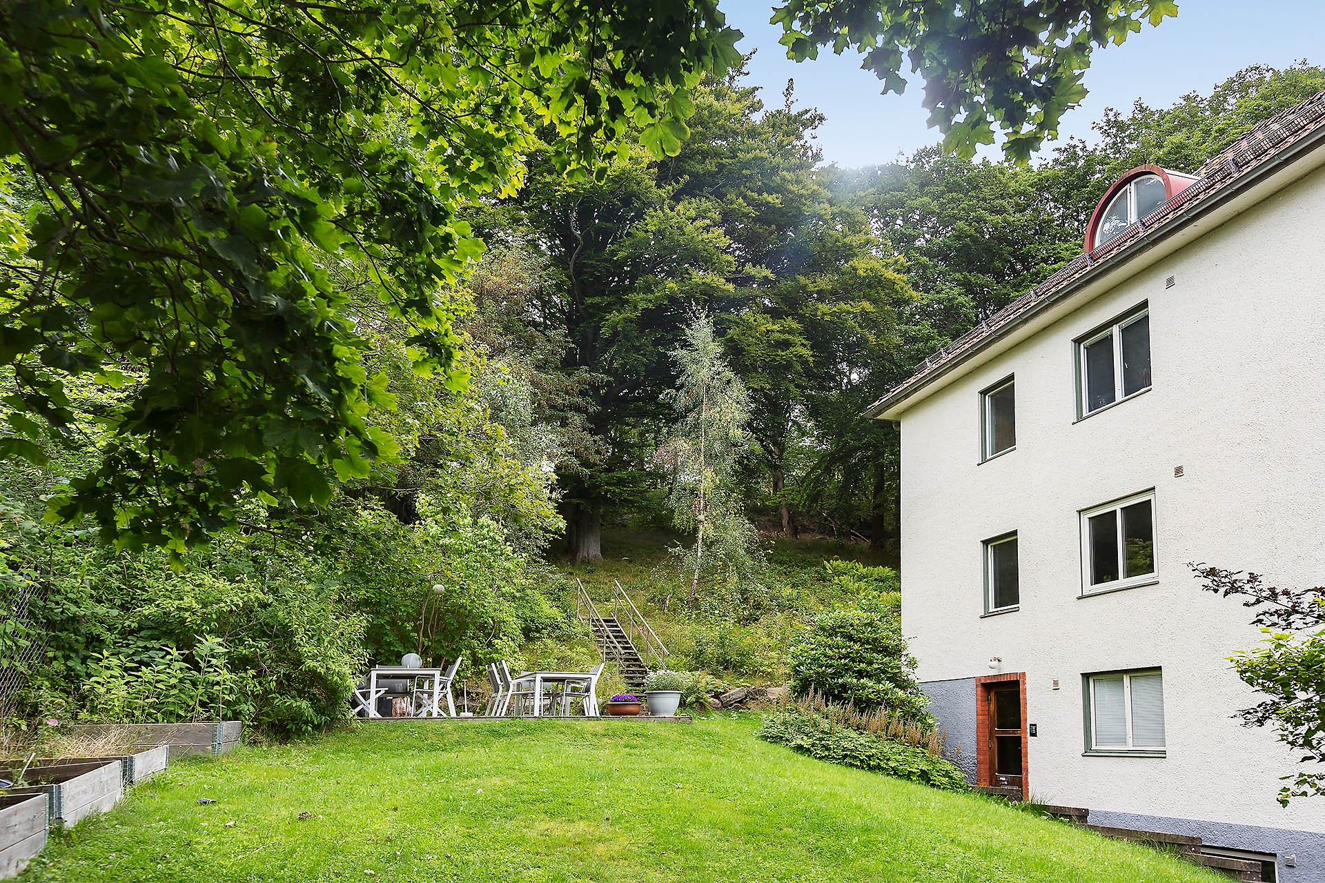 Härlig grön lummig trädgård