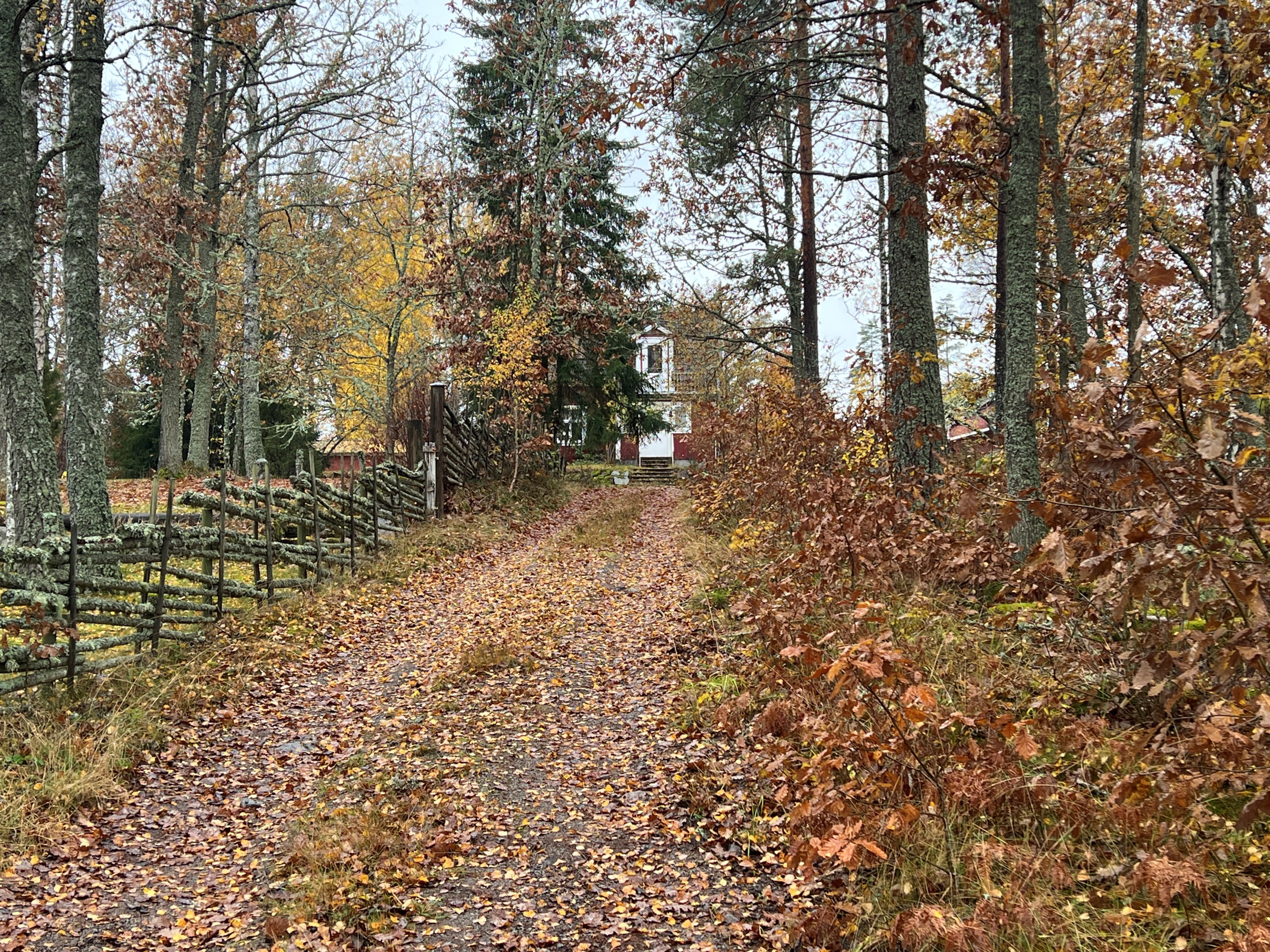 Det ligger där uppe...