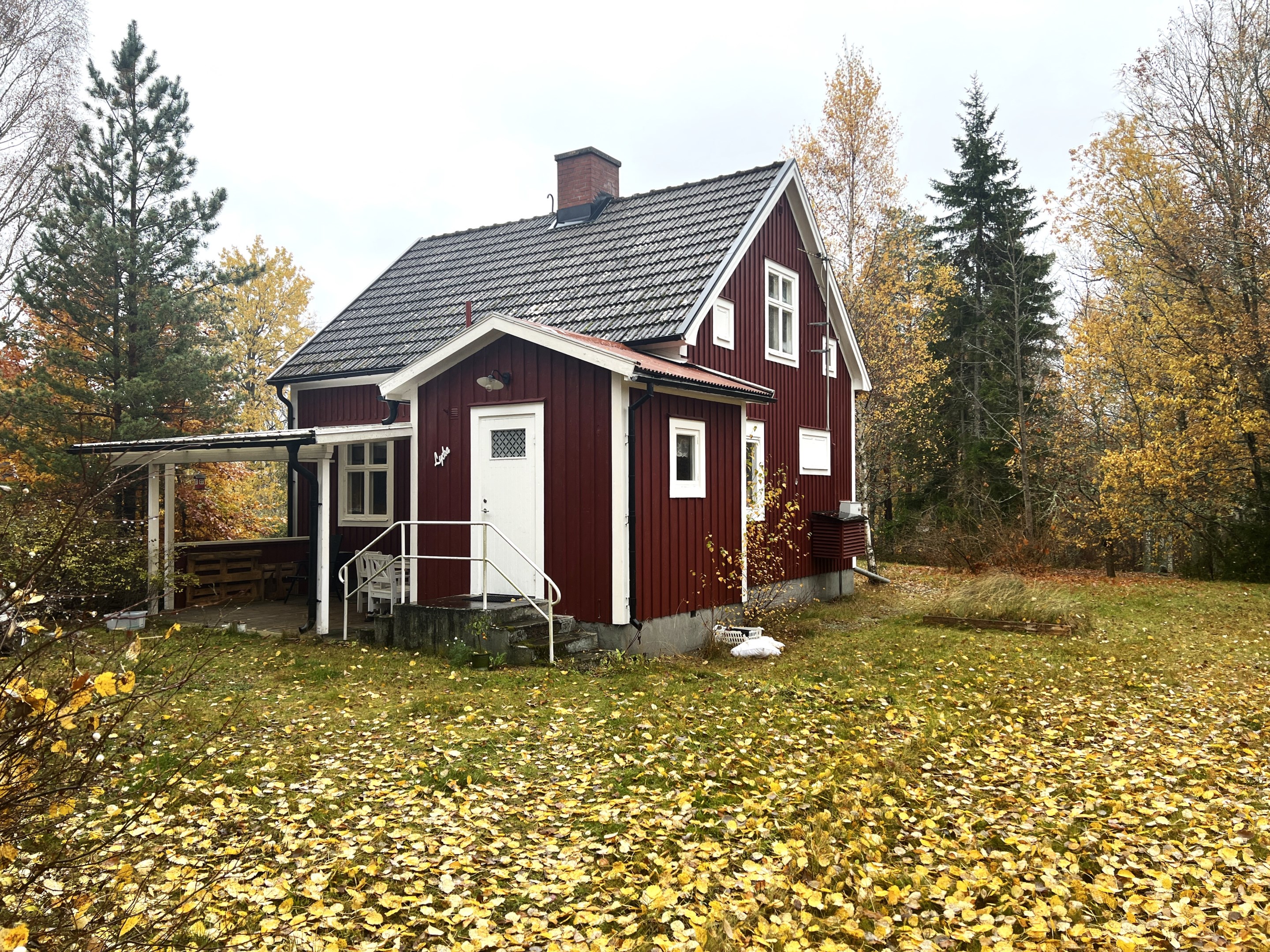 Baksida med groventré