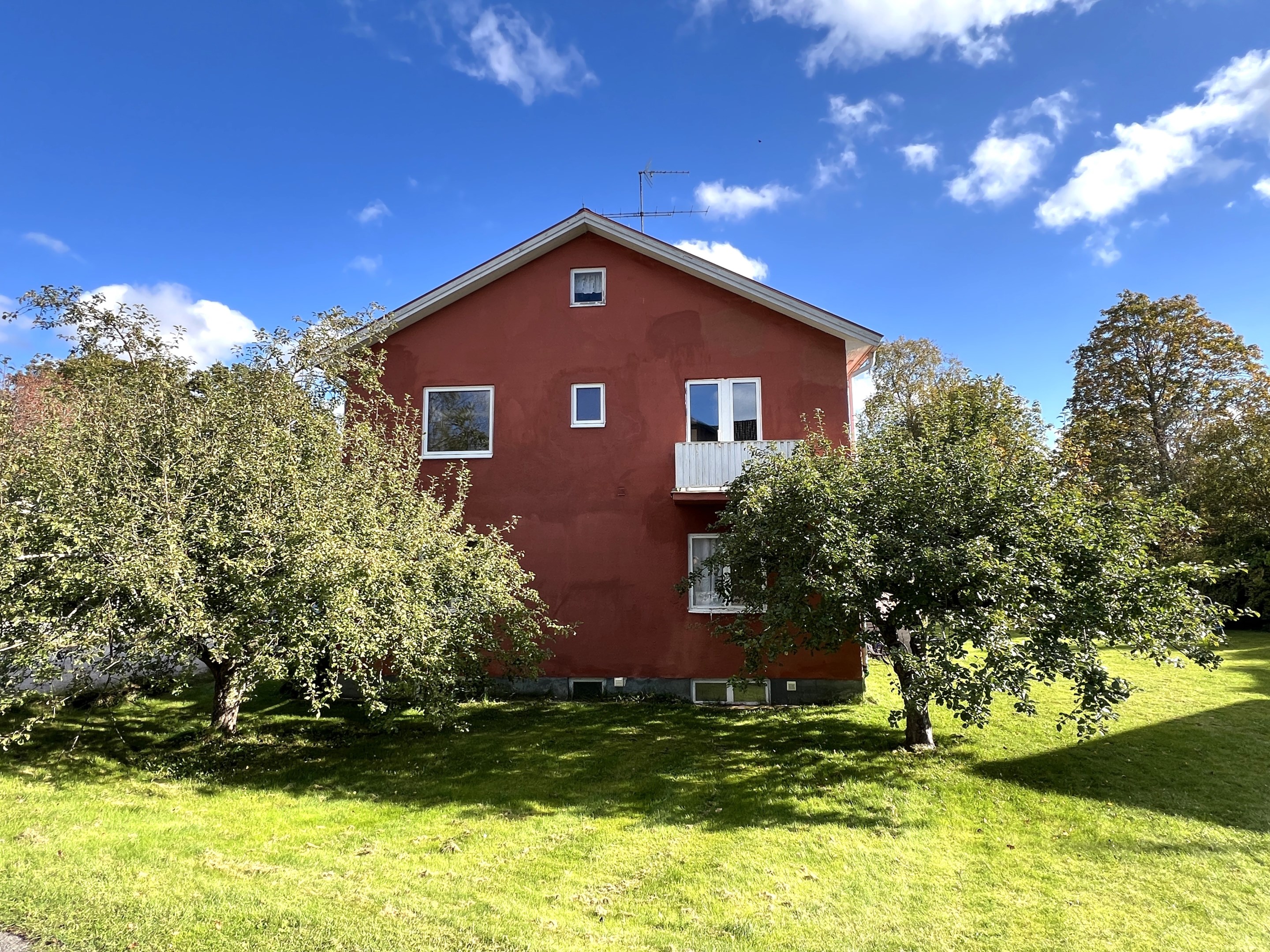 Flera fruktträd i den trevliga trädgården