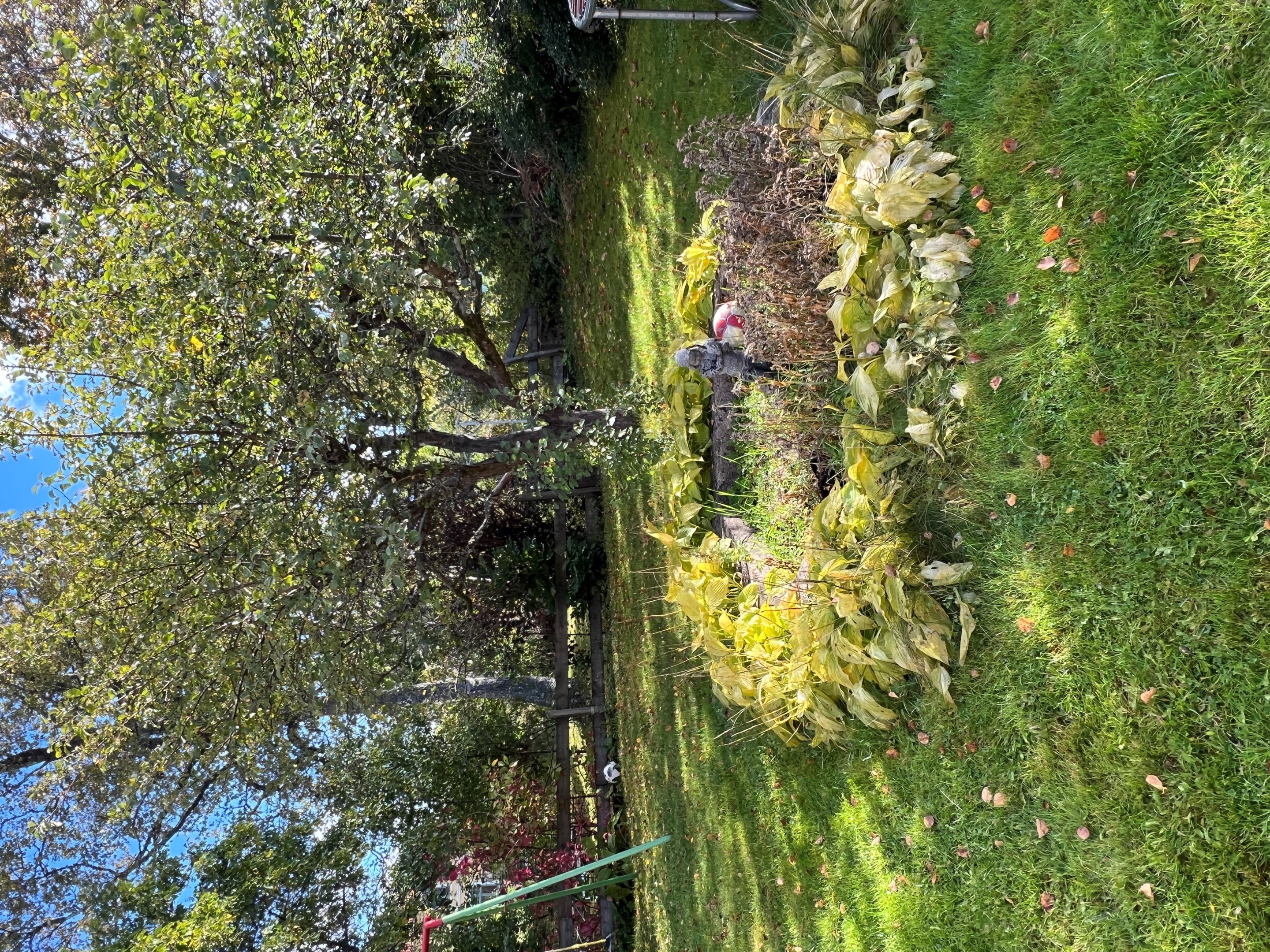 Fint i trädgården
