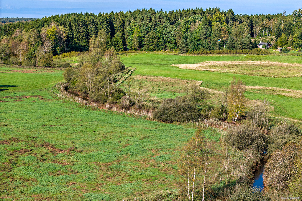 Från angränsande ängsmark