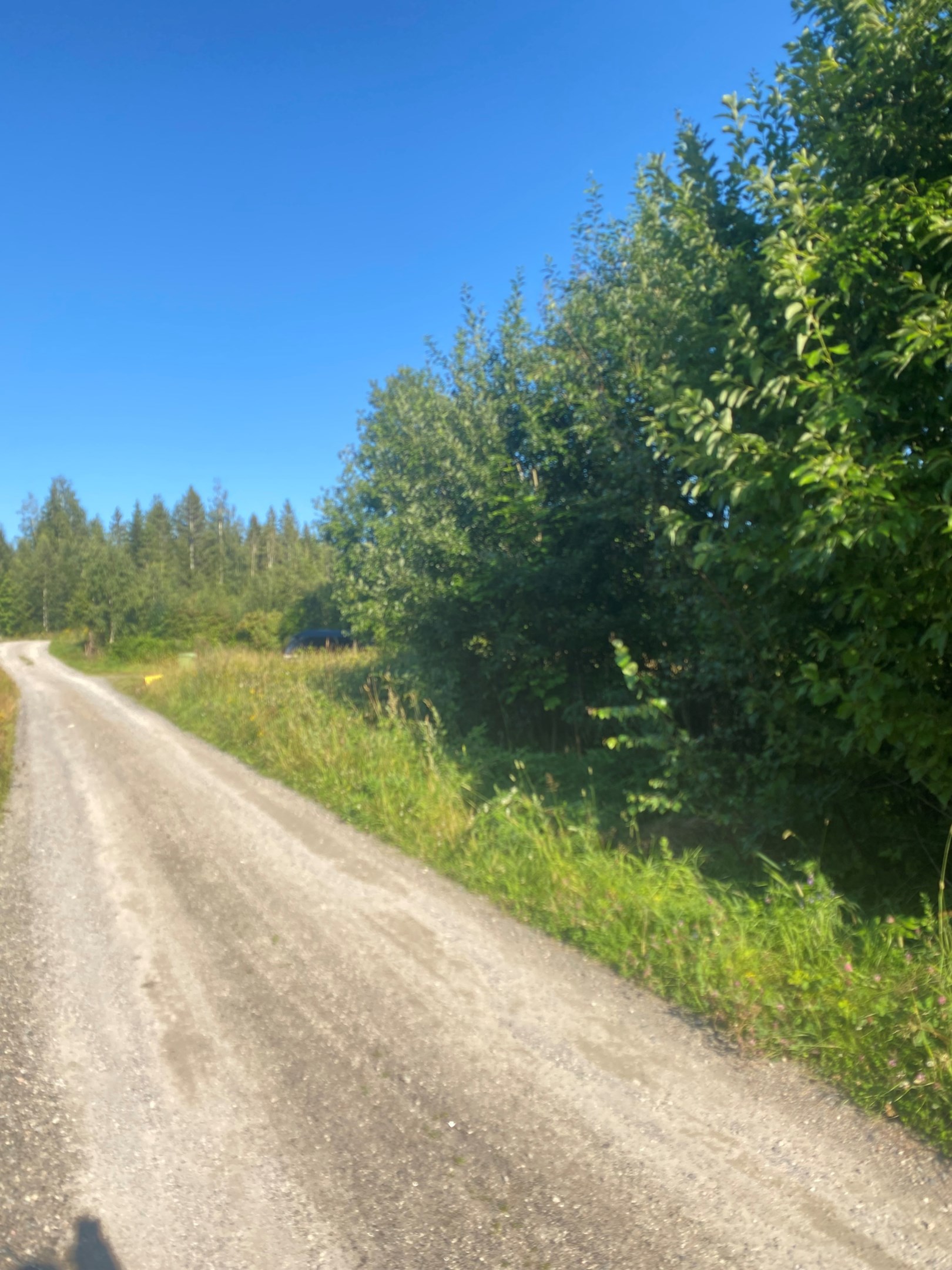 Sundsvall Alnö-Usland 2:41