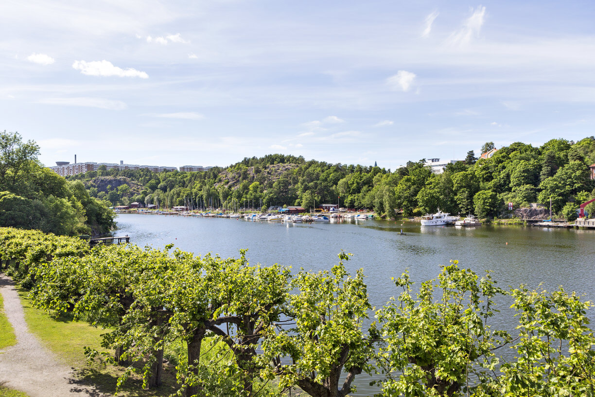 Välkomna till Svindersviken med...