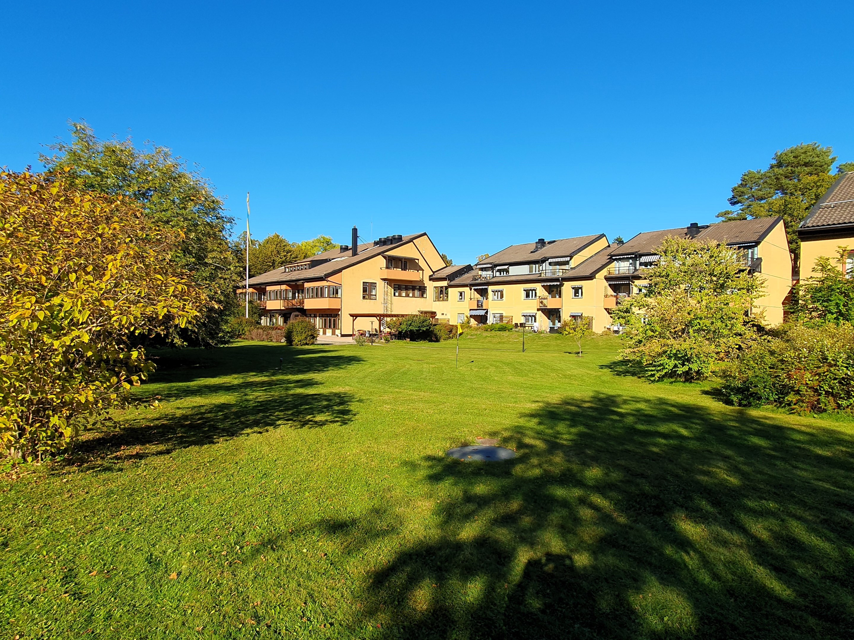 Välskött grönskande närområde