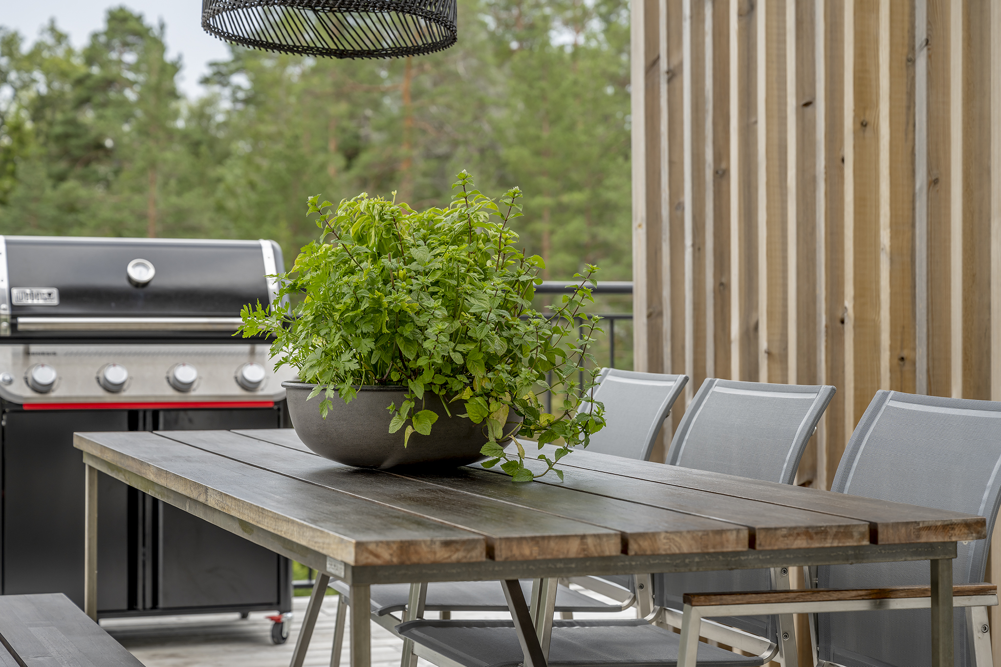 Fantastiska grillmöjligheter