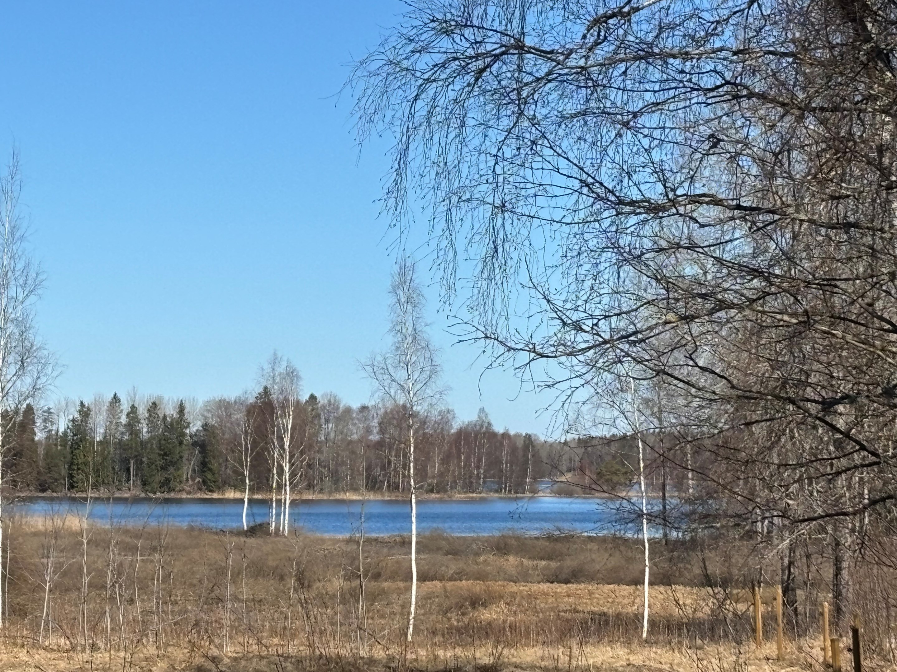 Vår-vy från tomten