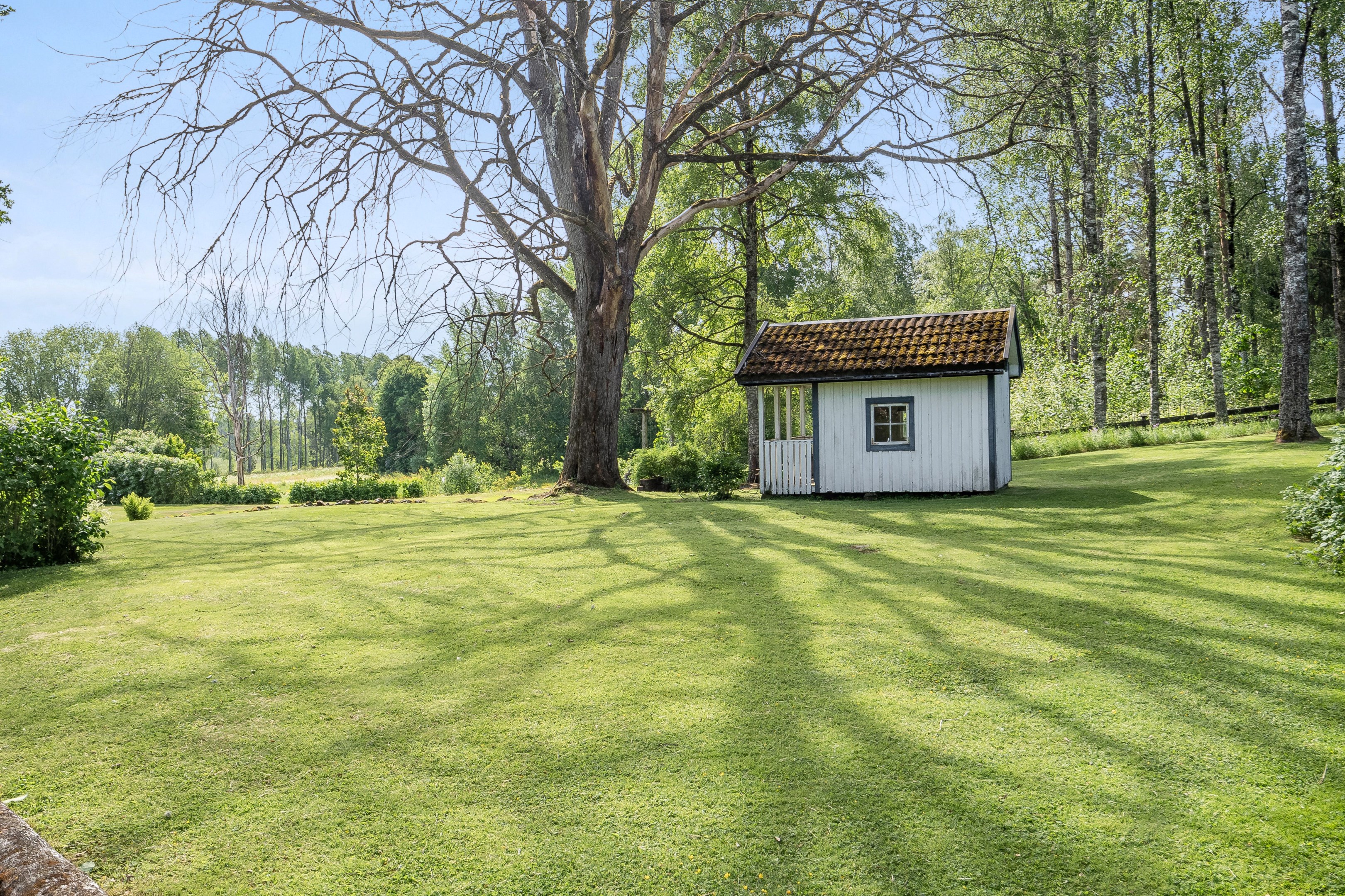 Trädgård