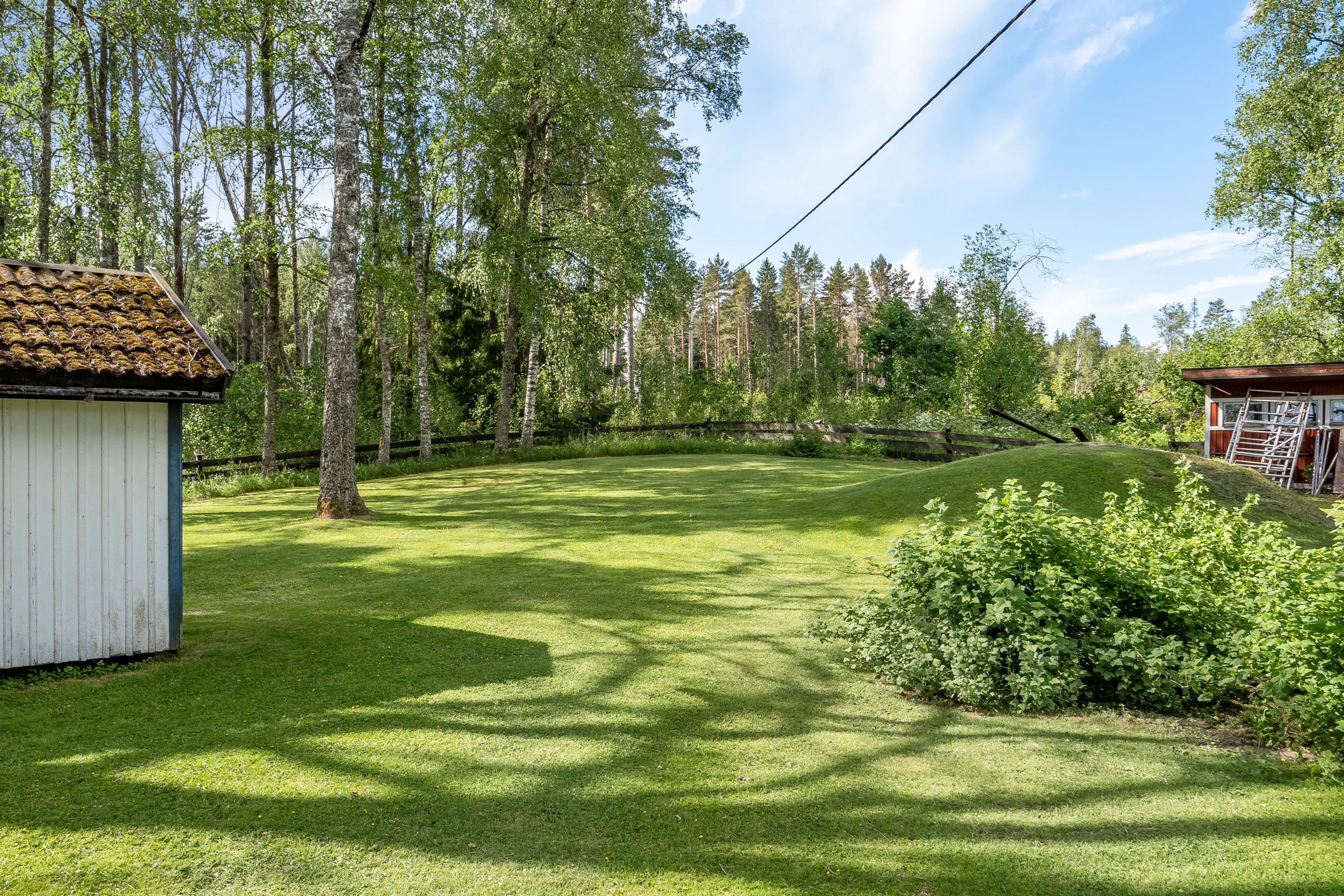 Trädgård
