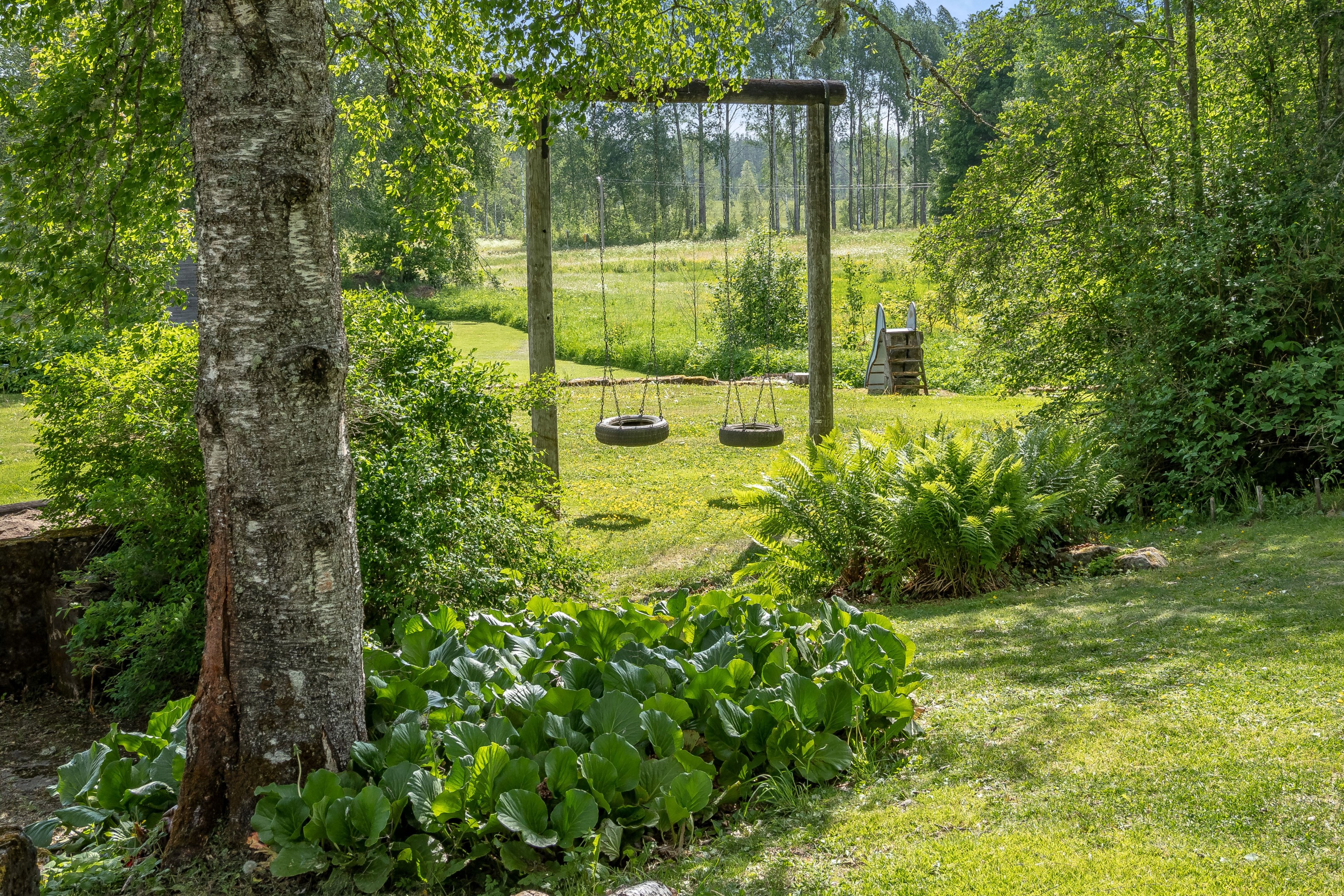 Trädgård