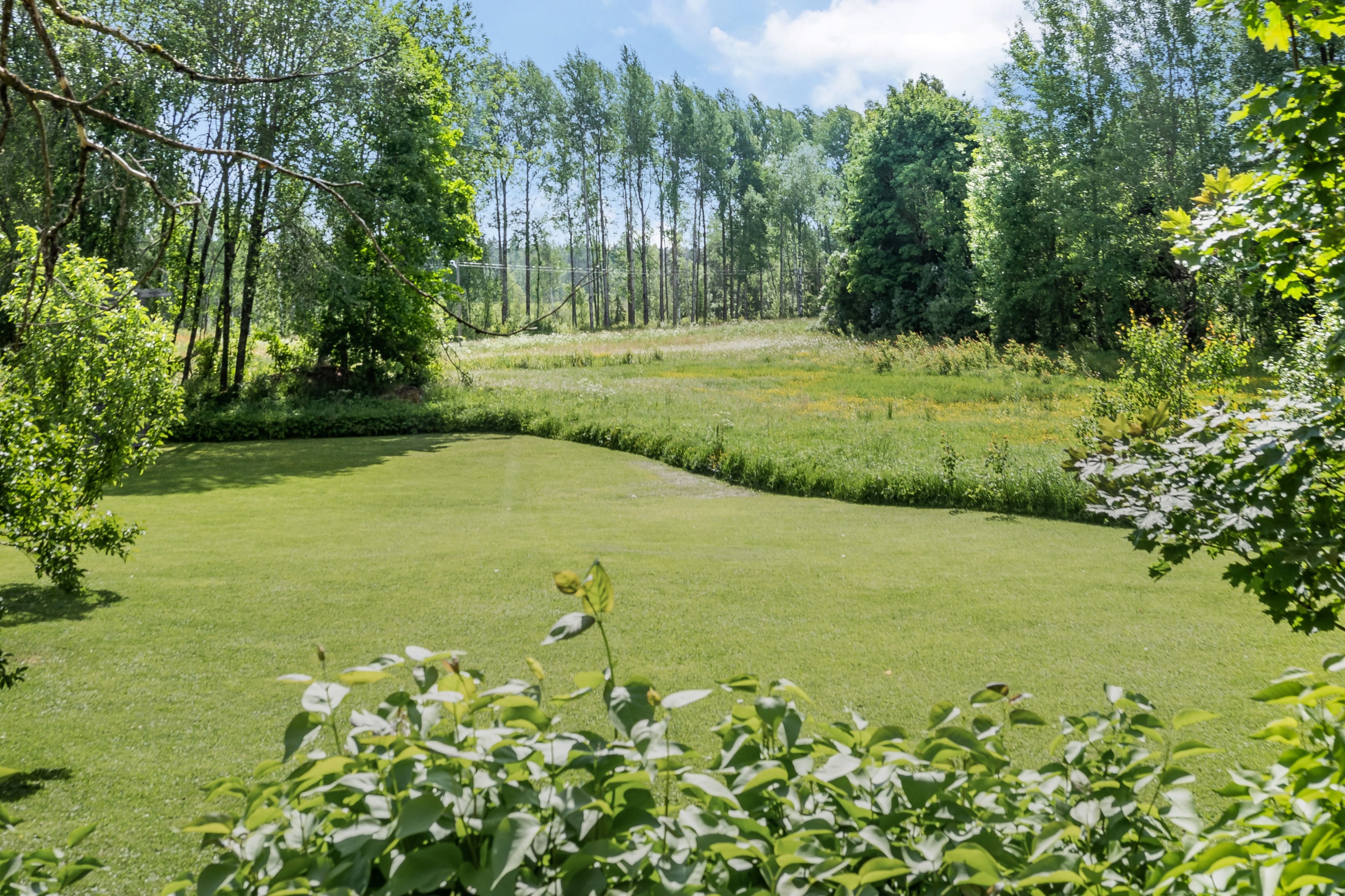 Trädgård