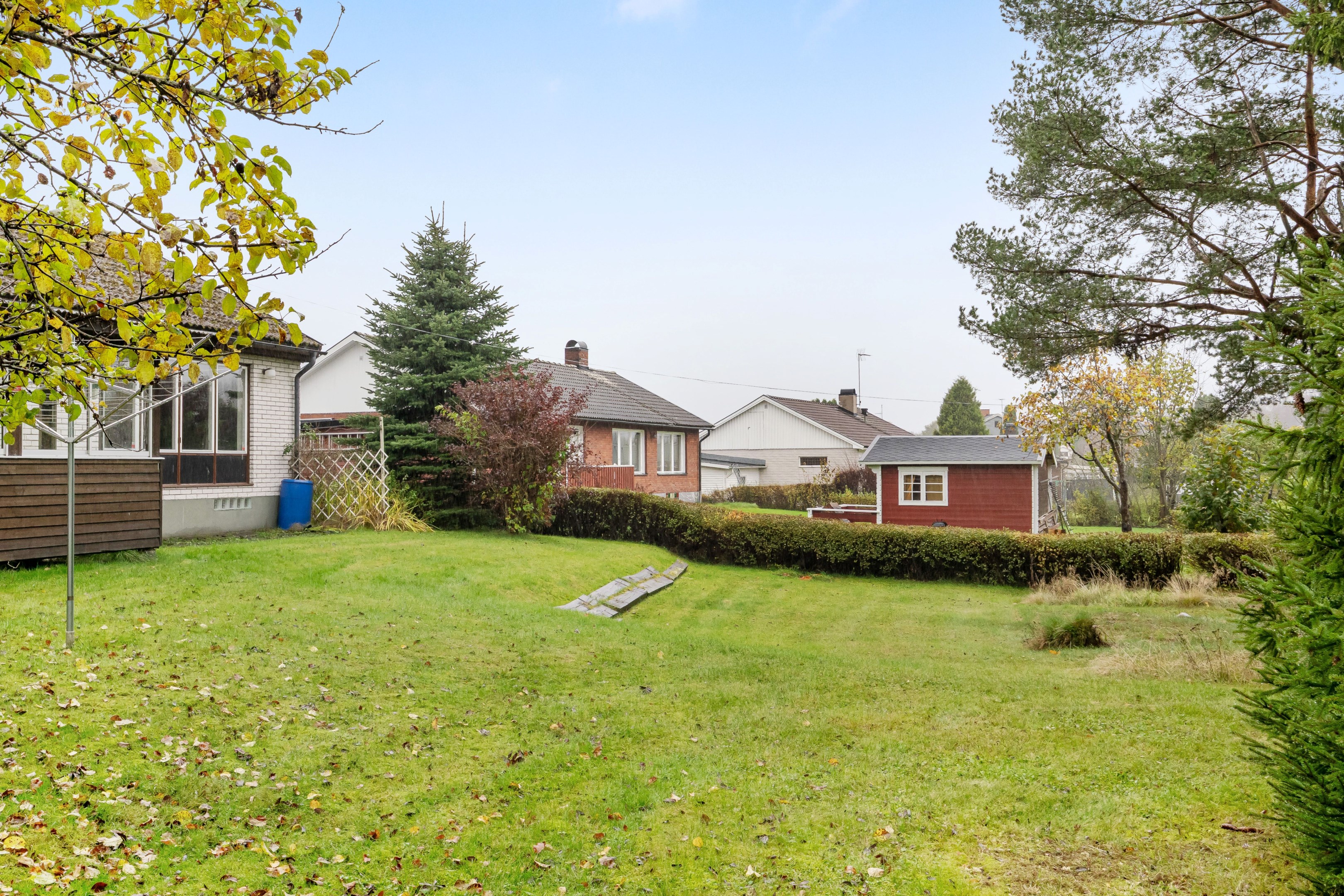 Trädgård på baksida