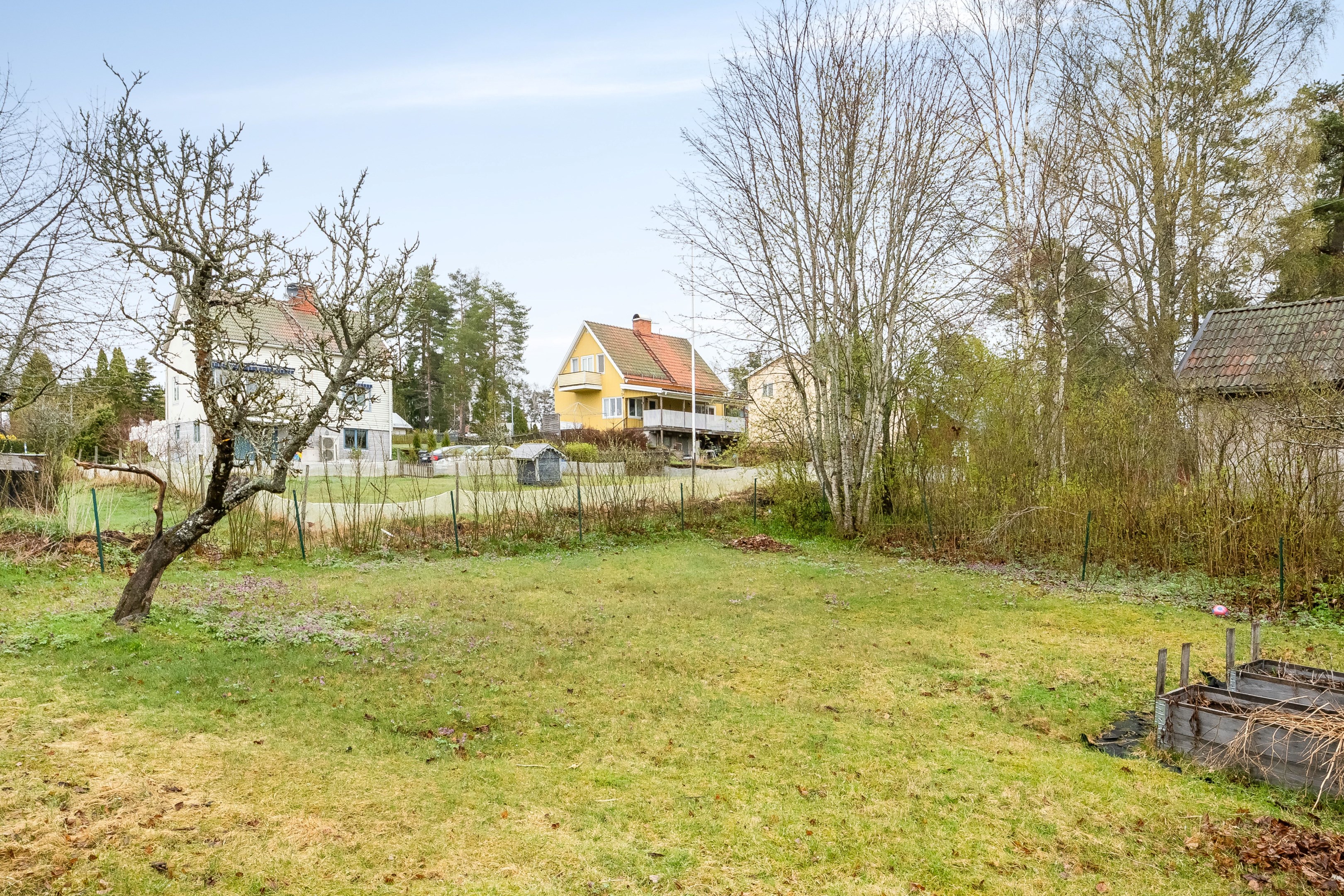 Trädgård