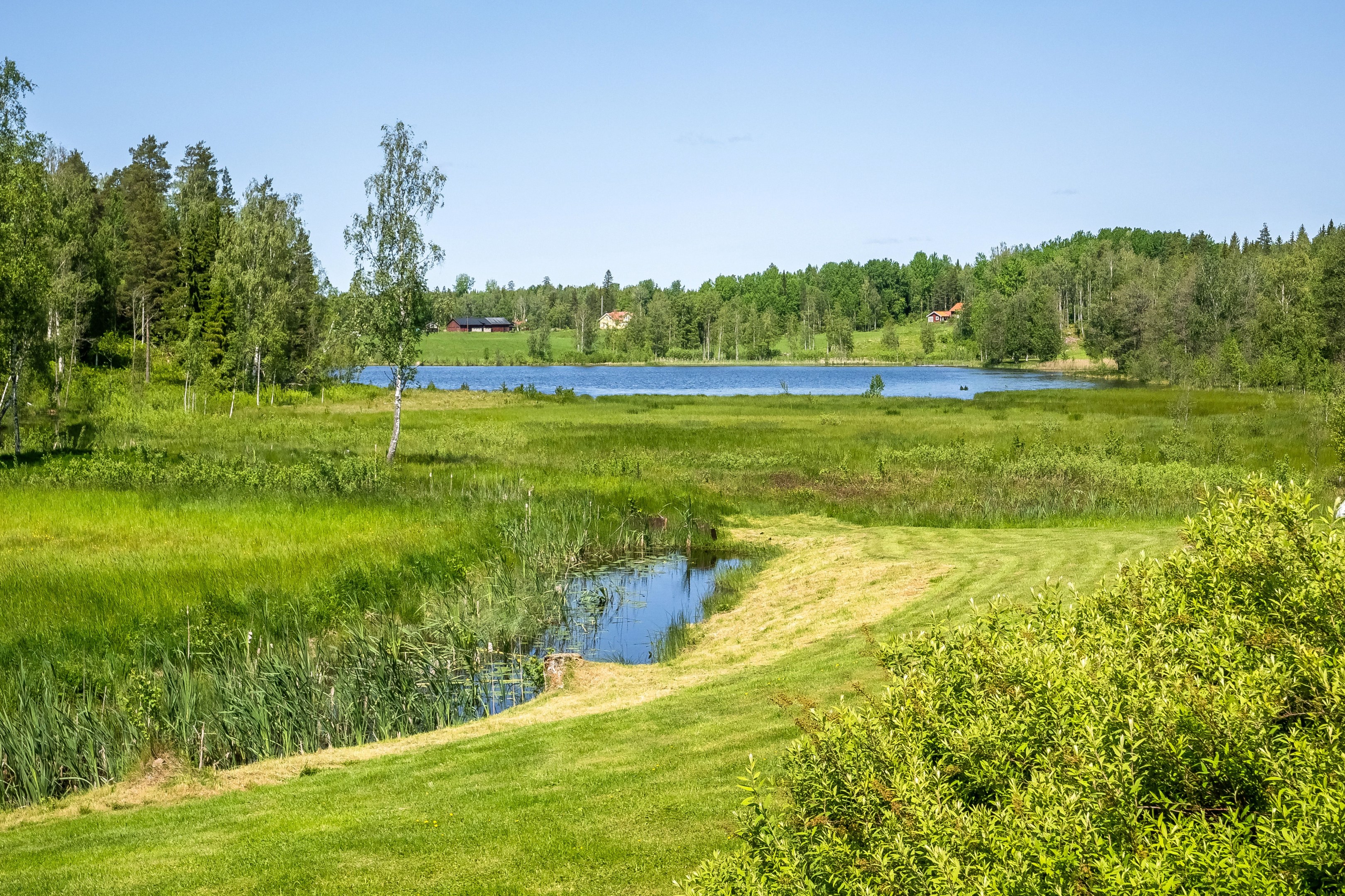 Utsikt över sjön