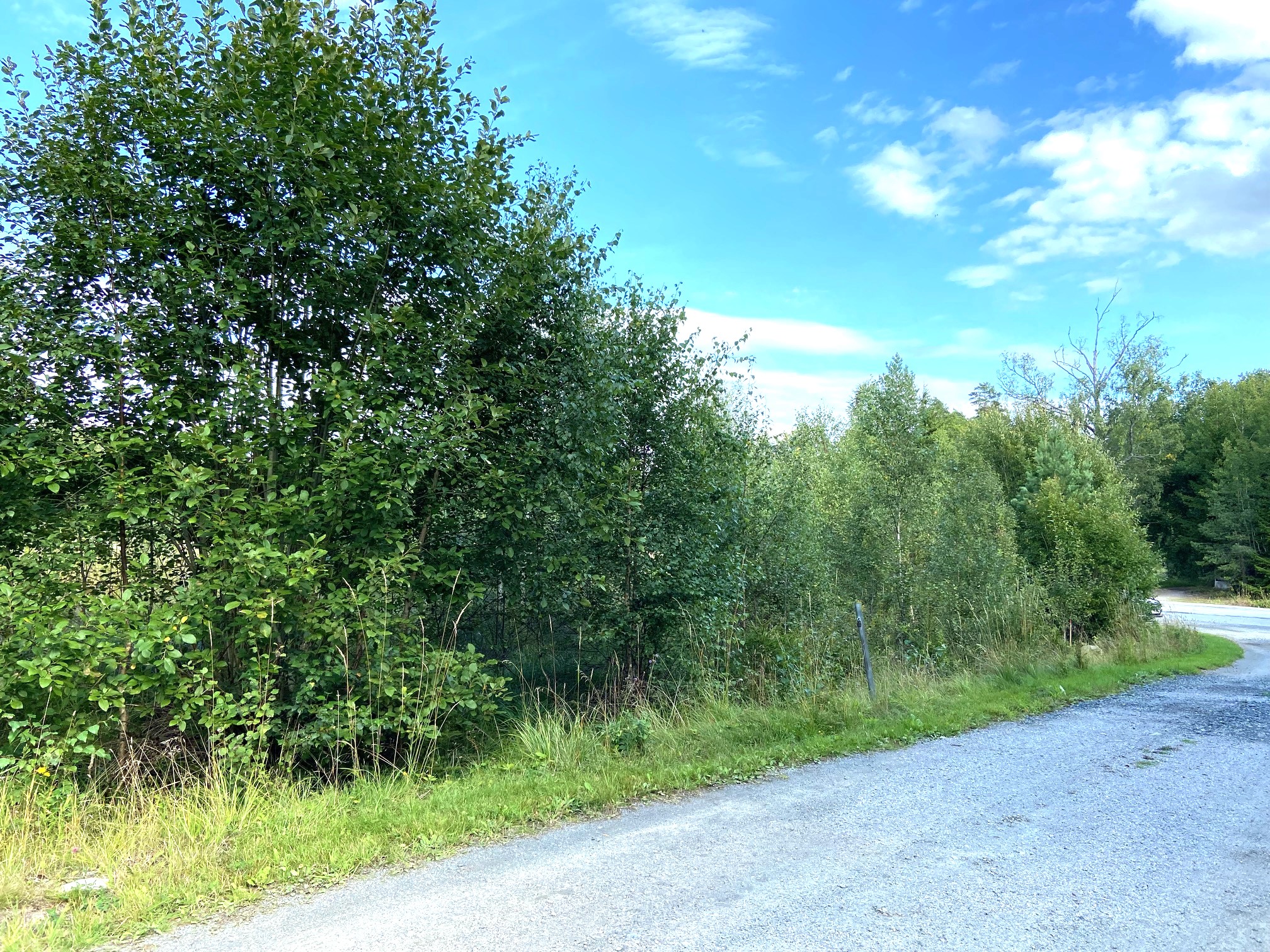 Grusväg till tomten