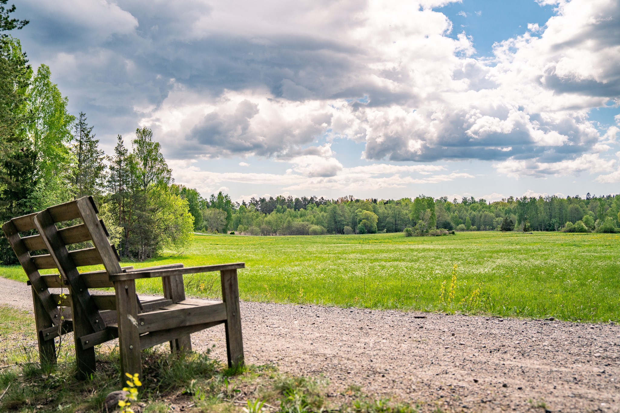 Skön miljö i området