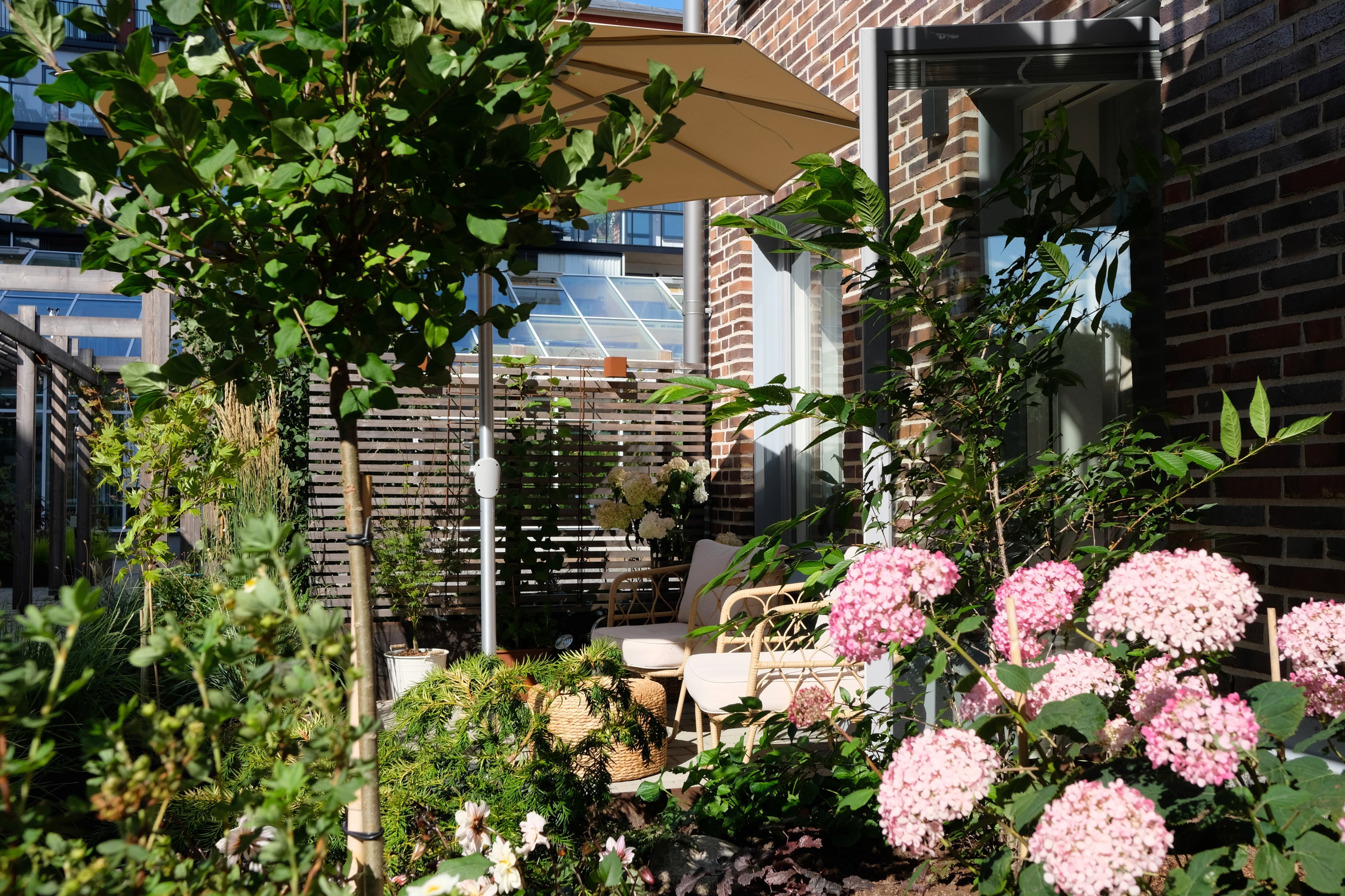 En egen oas med blomster(säljarens bild)