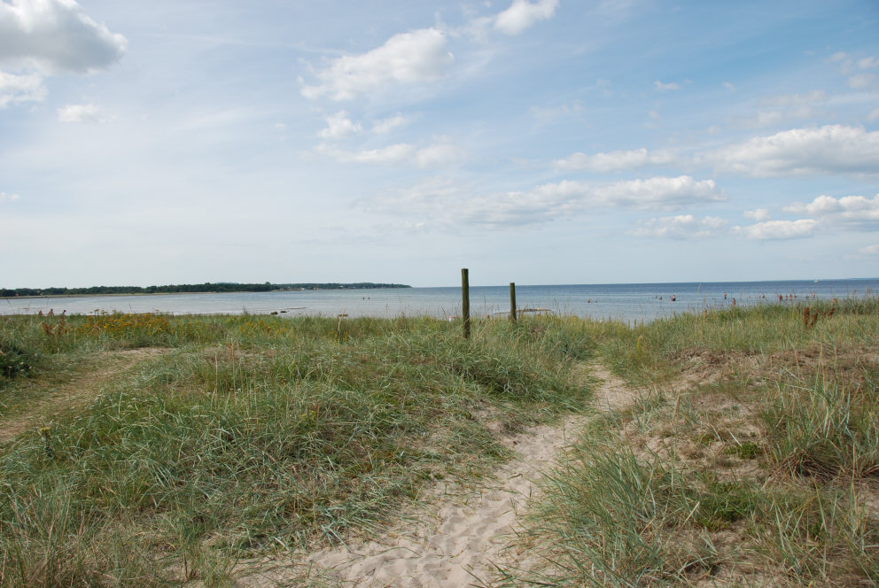 Sanddynor på väg ner till stranden