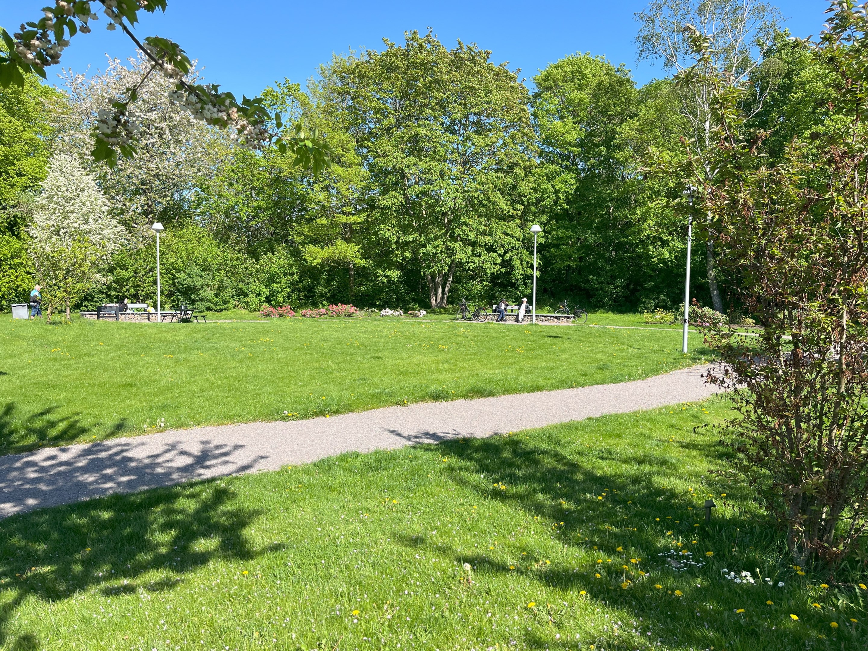 Underbart grönskande park intil